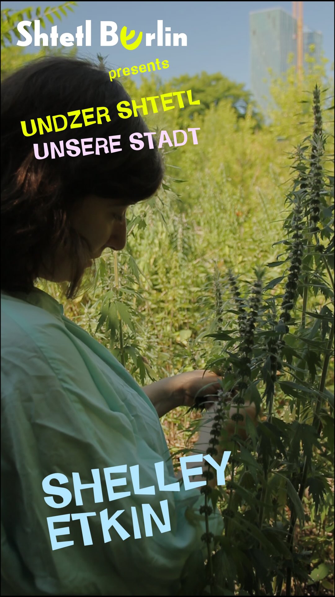 Shelley Etkin is a transdisciplinary artist/researcher who works with relations between bodies and lands centering plants and herbal medicine as allies in ancestral repair and solidarity. @sea.sez —> www.shelleyetkin.com
Who else lives in our shtetl?
Follow @shtetlberlin and come to our events to discover the diverse community of people creating Yiddish culture in Berlin.
Videos: Magdalena Hutter @magdalenahutterfilm
Idea and production: Craig Judelman @cowboyhasid
Filmed at Dammweg 216 garden @dammweg216
Created as part of the project ‘Undzer Shtetl, Unsere Stadt’ supported by the Aktionsfonds gegen Antisemitismus, Senatsverwaltung für Kultur und Gesellschaftlichen Zusammenhalt.
#shtetlberlin #neukölln #yiddish #yiddishlanguage #yiddishkeit #yiddishmusic #klezmer #JewishCulture #ShtetlBerlin #BerlinEvents #KlezmerJam #LiveMusicBerlin #MusicBringsUsTogether #BerlinCulture #BerlinNights #BerlinCommunity #WorldMusic #CulturalHeritage #KlezmerSpirit #YiddishSoul #ShtetlVibes —> for more info visit www.shtetlberlin.com & www.shelleyetkin.com