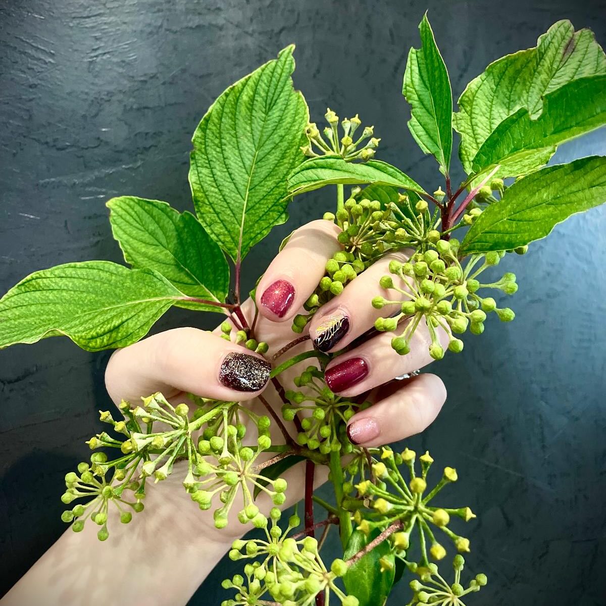 ✨ Une touche d’élégance naturelle ✨
Nos ongles se parent de reflets bordeaux profonds et de touches scintillantes, inspirés par la beauté du feuillage et de la nature 🌿💅
Laissez vos mains devenir une œuvre d’art, entre sophistication et authenticité.
💫 Réservez votre moment de beauté dès aujourd’hui !
#ongles #nailart #manucure #institutdebeaute #onglesparis #onglesnaturels #nailinspiration #beaute #bbeauté