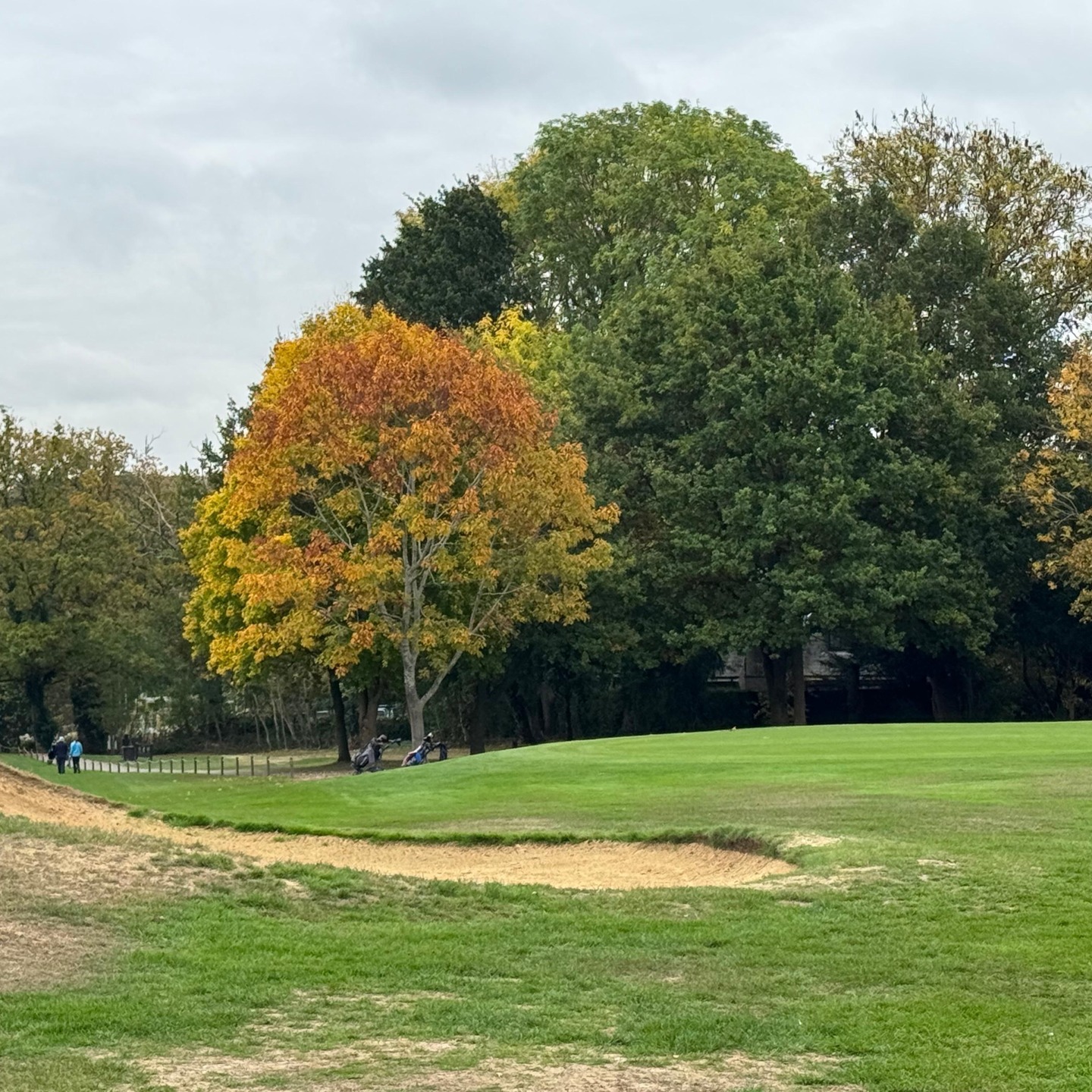 Autumn is definitely on its way at Surbiton Golf Club, painting the course in rich shades of amber, gold, and crimson. Crisp fairways, cool air and stunning views make this season one of the most beautiful times to be out on the course. Whether you're chasing birdies or just soaking in the scenery, there’s no better backdrop than this!
#SurbitonGolfClub #surreygolfcourse #surreygolfclub #AutumnGolf #GolfCourseViews #TeeTime #GolfLife #NatureAndGolf