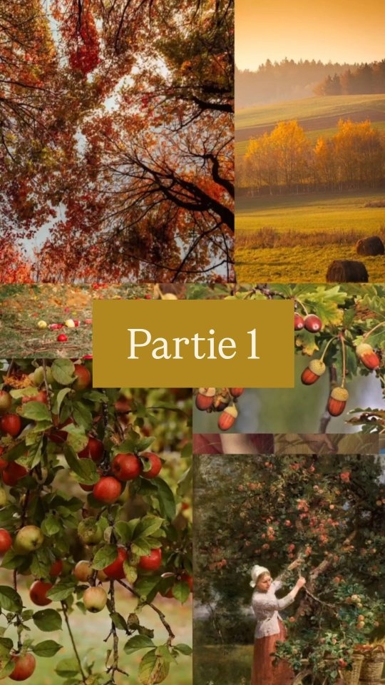 ✨Vous imaginez quoi comme motifs ? ✨
🍁 L'équinoxe d'automne est passé 🍂
Voici la première partie d'une petite série de réel sur l'ensemble automnal que je suis en train de réaliser 🌰🌾
J'aimerai tenter de faire une voix off mais ça va me demander beaucoup de courage 😂😂 donc pour le moment on reste sur un format sans voix
.
.
.
.
.
.
.
.
#ateliervergnes #couture #smallbusiness #fairytale #dress #fallvibes #sewing #autumnstyle #romantic #fallcolors #beautiful #cottagecore #fantasy #autumncolours #cute #feminine #aesthetic #autumnvibes🍁 #fashion #autumn #history #costume #fallfashion