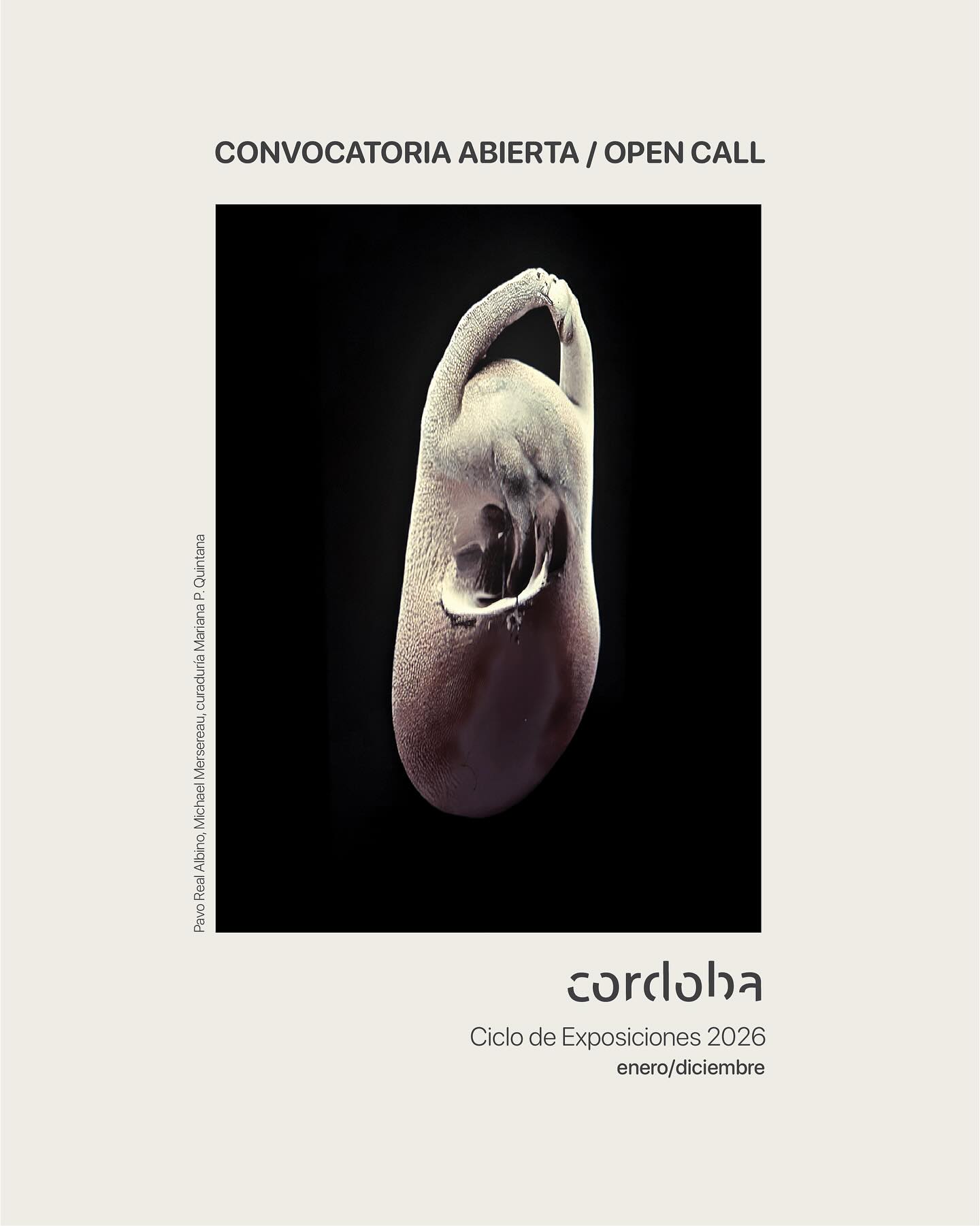 Córdoba Lab abre su Convocatoria para el Ciclo de Exposiciones 2026.
Un espacio pensado para artistas y curadores que buscan dialogar, crear y compartir su visión del arte contemporáneo.
Buscamos proyectos curatoriales que inspiren, cuestionen y conecten con nuevas miradas.
Los seleccionados formarán parte de nuestro programa expositivo en Galería Córdoba, Oaxaca, durante 2026.
🗓️ Registro abierto del 18 de octubre al 17 de noviembre de 2025
📍 Consulta las bases completas en el enlace en nuestro perfil o www.cordoba-lab.com
Córdoba Lab — un espacio donde el arte encuentra su forma.