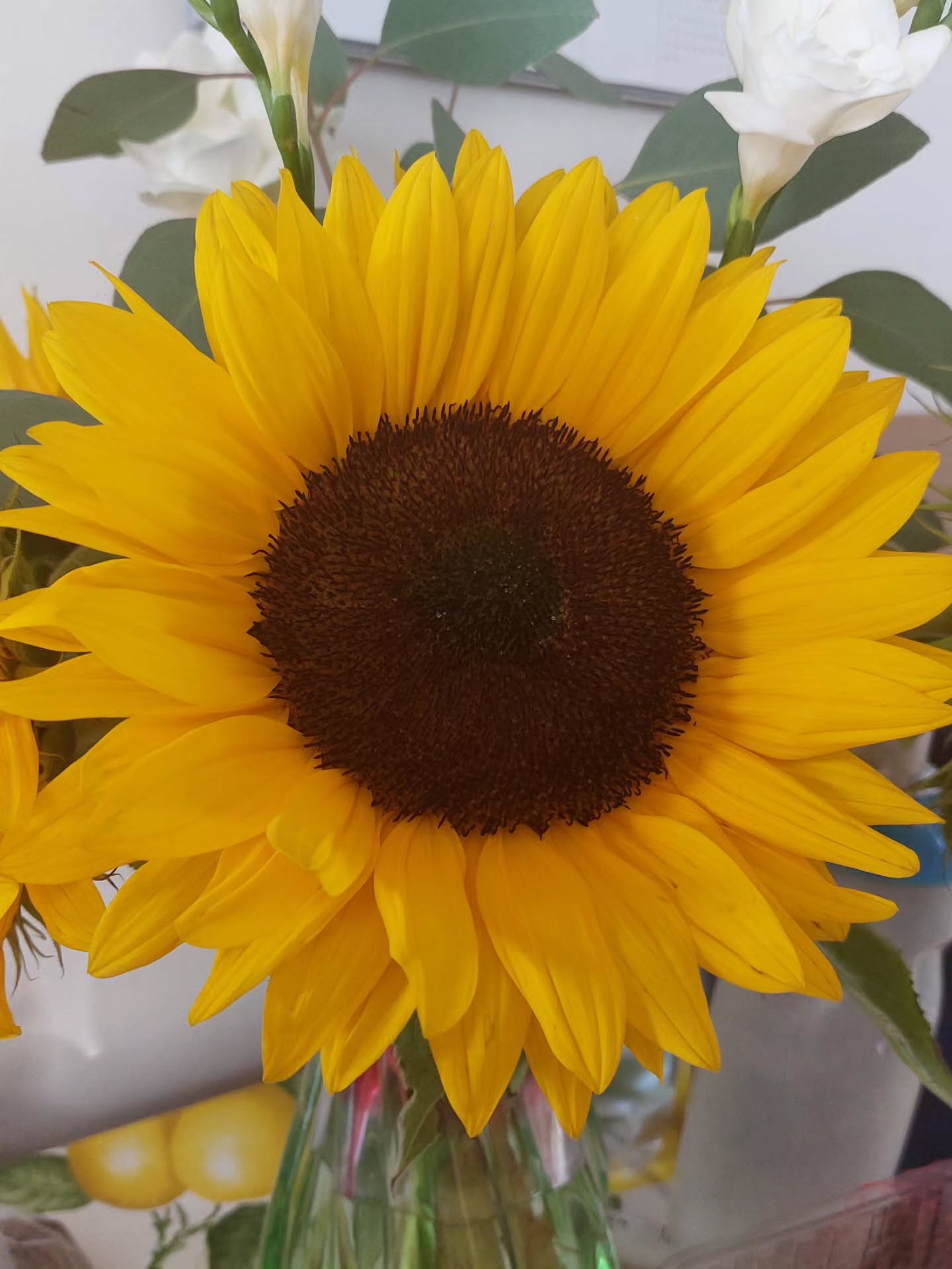 90 days ago, Holly and I started something incredible. After 18 months of neglect from the NHS, I was in pieces in July, struggling with chronic illness that affected every aspect of my life, including my job. The pain was overwhelming, but I put on a brave face and hid behind a mask of "I'm fine" whenever someone asked how I was doing. I didn't want to burden others or explain the complexities of living with a chronic illness.
But then I found @flourishment_wellness and I'll be forever grateful to her. Over the past 90 days, I've been working with Holly to make significant changes to my diet, cutting out gluten, wheat, dairy, red meat, eggs, and other trigger foods. It wasn't easy, but I've learned to make healthier choices.
And then the amazing thing happened: I started feeling much better. My brain fog lifted, my energy levels increased, and my skin improved. I lost 5 kg, my bloated belly disappeared, and my period pain eased. I have fewer flare-ups, and I'm no longer constantly cold due to the RA fever. I'm still working on calming my nervous system and addressing some underlying issues, but I can see the light at the end of the tunnel. It's been a journey, but I'm grateful for the progress I've made and excited for what's to come.