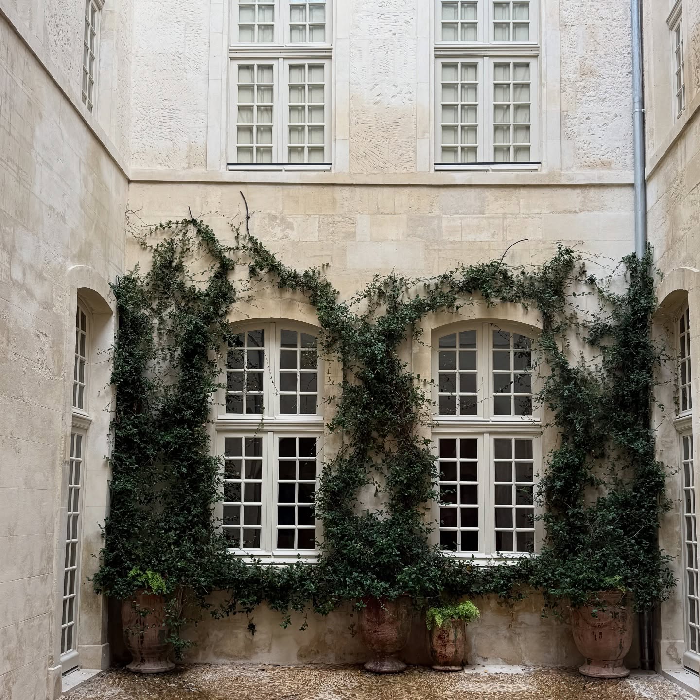 Notre source d’inspiration : l’architecture provençale.
Les murs en pierre qui racontent le temps, le sol en calade patiné par les pas, les pots d’Anduze baignés de soleil.
Une authenticité qui nous guide chaque jour ☀️✨