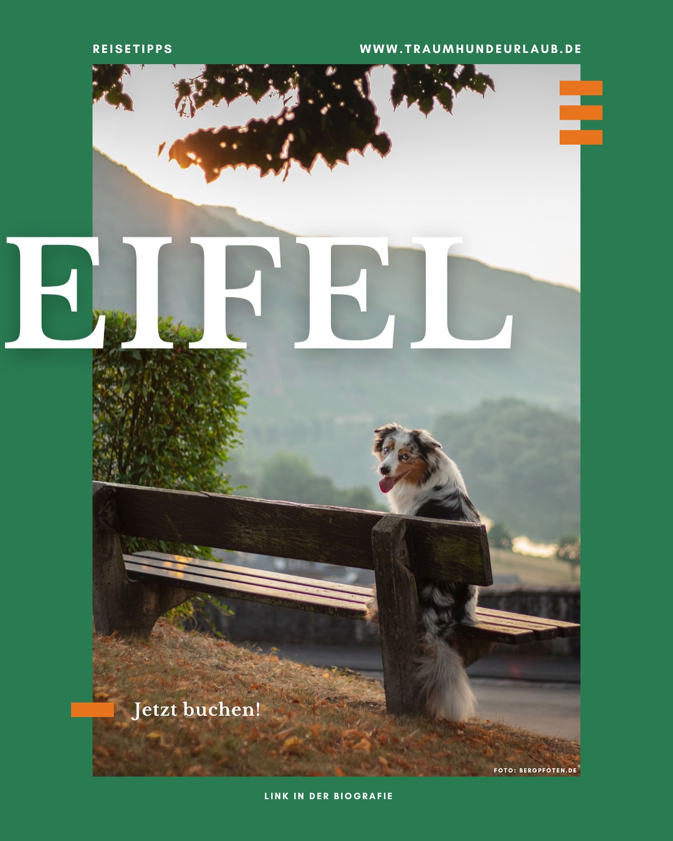 🐾 Gemeinsam die Eifel entdecken – Wälder, Seen und unendliche Wanderwege warten auf euch! Perfekt für Abenteuer auf vier Pfoten.
Wart ihr schon mal in der Eifel? Teilt eure Geheimtipps.
Mehr zu unseren Tipps lest ihr in unserem neuen Blog.
Link in Bio! 👀
🌲💚 #UrlaubMitHund #EifelLiebe #traumhundeurlaub #urlaubmithund #hundeglück
