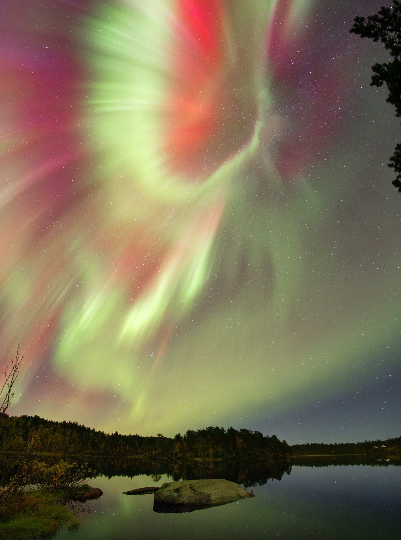 📷 László Póka @laszlo.poka