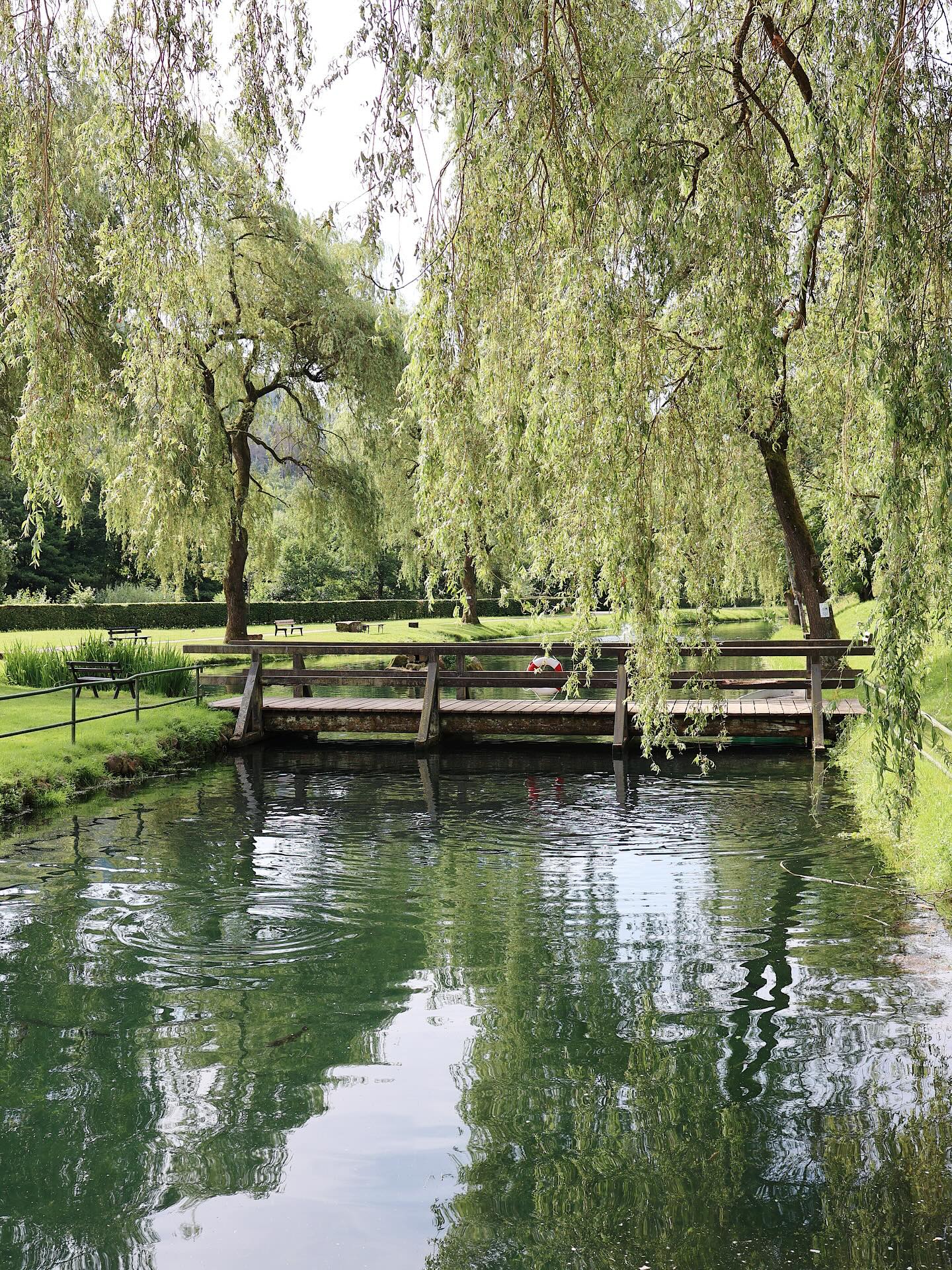 ✨ Wo die Zeit stillsteht und die Seele aufatmet ✨
Mitten im malerischen Nordschwarzwald erwartet Sie unser idyllisches Hotel direkt am See – ein Rückzugsort für alle, die echte Ruhe und unberührte Natur suchen. 🌲💚
Lauschen Sie dem sanften Plätschern des Wassers, beobachten Sie die Forellen in ihrem kristallklaren Element und lassen Sie sich von der Flora und Fauna verzaubern. Unsere Terrasse bietet den perfekten Blick auf dieses Naturparadies – ob beim Frühstück mit Seeblick oder beim romantischen Abendessen unter Weidenbäumen. 🌅
Hier finden Sie:
🌿 Absolute Ruhe fernab vom Alltagsstress
🐟 Frische Küchenbachforellen aus eigener Zucht
🌳 Unberührte Natur zum Wandern & Entdecken
☕ Gemütliche Terrasse direkt am Wasser
Gönnen Sie sich eine Auszeit im Herzen des Schwarzwaldes
#Nordschwarzwald #Schwarzwald #HotelAmSee #Naturparadies #Auszeit #RuheOase #Küchenbachforelle #NaturPur #Schwarzwaldliebe #Terrasse #Entspannung #Naturerlebnis #Deutschland #Reiseziel #WellnessNatur #SeeBlick #ForellenZucht #NaturGenießen
