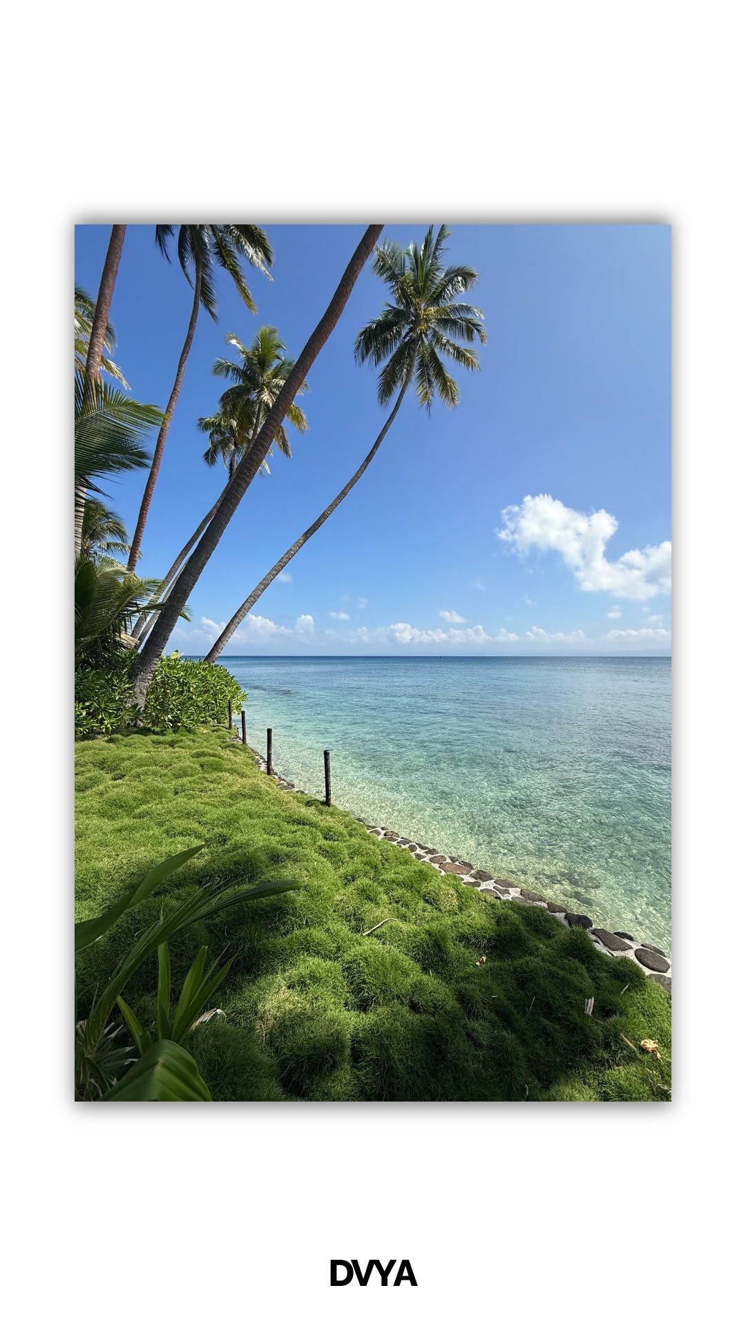 In a world where so much of what we do happens behind a screen, there’s something truly invaluable about experiencing a brand firsthand 🌿✨
Recently, I had the privilege of spending time at Jean-Michel Cousteau Resort Fiji. Being there in person offered insights and perspective that go far beyond what research or virtual meetings can provide.
We were also lucky enough to meet Jean-Michel Cousteau and Nancy Marr, who were there celebrating JMC’s 87th birthday. Speaking with them gave me a deeper appreciation of the resort’s incredible history and its mission to blend sustainability and culture in every experience 🌺
It was a great reminder that while we live in a virtual world, nothing replaces the authenticity and understanding that come from seeing, feeling, and even tasting something for yourself.
We’re grateful to the JMCR team for their warmth and for allowing us to connect so closely with the heart of the brand 💛
#dvya #brandstorytelling #authenticmarketing #luxurymarketing #travelmarketing #luxuryresort #hospitalitymarketing #resortmarketing #hotelmarketing