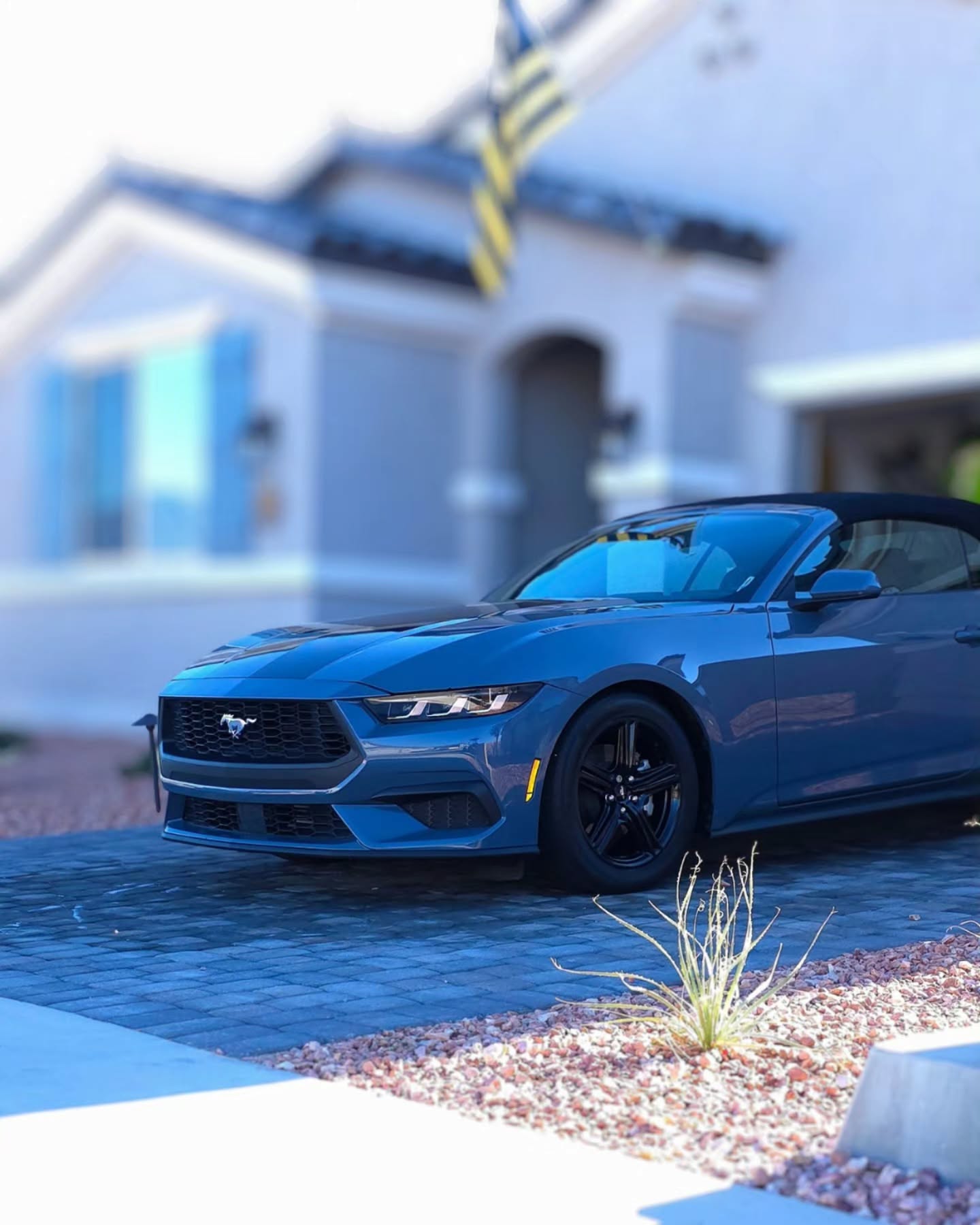 Premium care for premium rides. ✨
This Mustang is part of our Maintenance Plan, designed for clients who value consistent, professional care.
Every visit keeps the interior fresh, the paint protected, and the gloss alive — always looking its best.
✅ Safe pre-treatment & foam wash
✅ Wheels and tires thoroughly cleaned
✅ Interior vacuum & carpets shampooed
✅ Interior plastics cleaned and dressed
✅ Streak-free glass inside & out
For those who take pride in their vehicle, maintenance isn’t an expense — it’s an investment.
📲 Learn more or book your detail: www.sunshineautodetailingllc.com
💬 Have questions? DM us directly — we’re here to help.