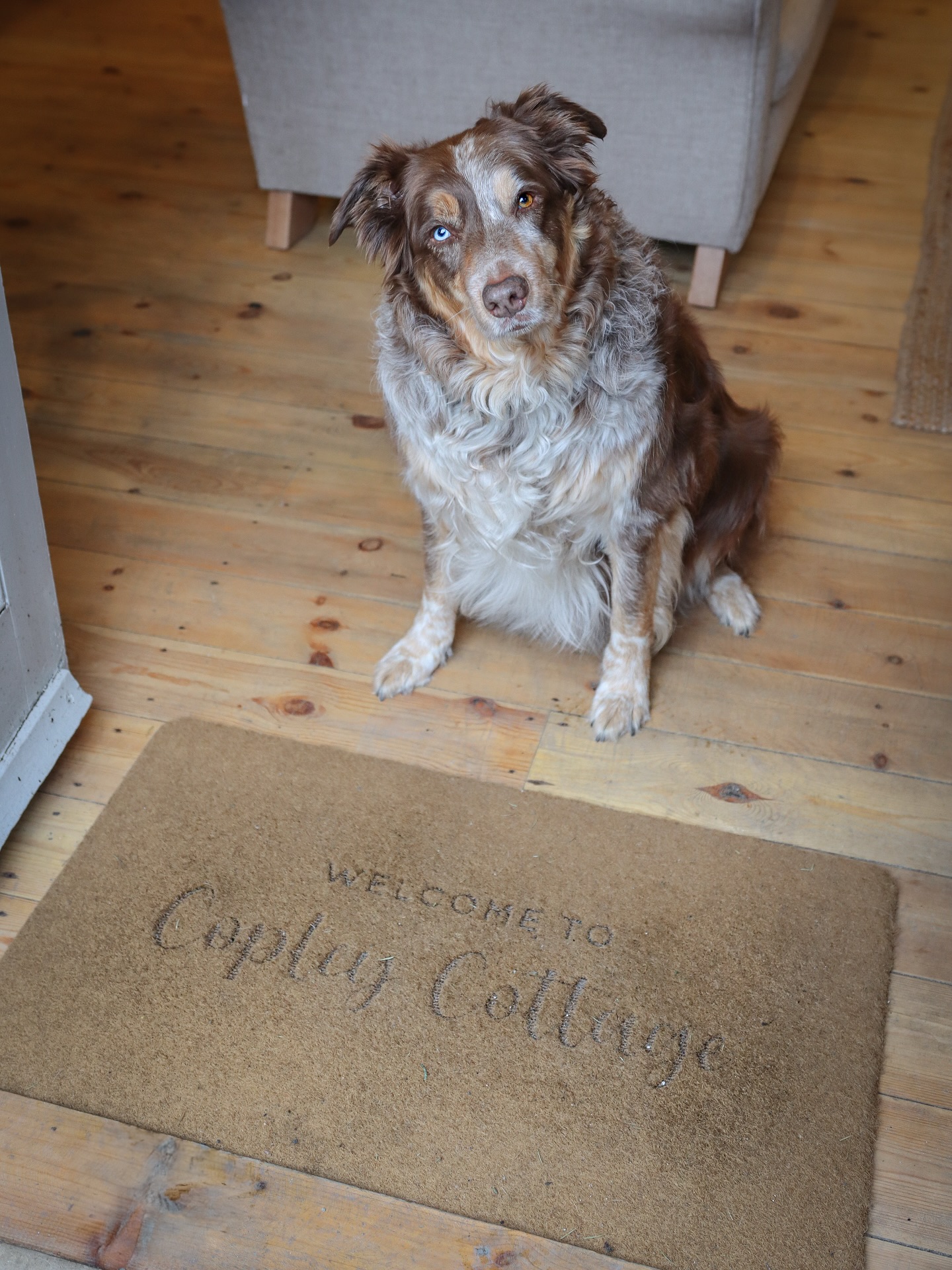 Are there any adventures out there waiting for us? 🐾✨
We’re always on the lookout for our next dog-friendly escape — where comfort meets countryside charm and every stay feels like home away from home. 🏡💛
If you’re a dog-friendly stay or hidden gem that loves four paws as much as we do, we’d love to visit and share your story. 🌿
#dogfriendlytravel #WhenChesterMetCrumble #travelwithdogs #dogtravelblogger #petfriendlystay #DogFriendlyUK #staycationgoals #travelwithpets