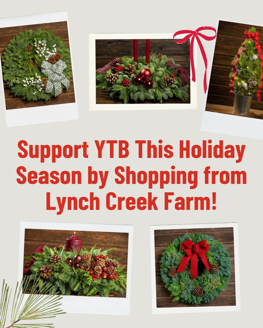 Deck the halls and support a great cause! 🌟
When you shop for beautiful wreaths, garlands, and holiday centerpieces from Lynch Creek Farm, part of your purchase will go directly to YouthARE.
🎁 Shop here → https://lynchcreekfundraising.com/campaigns/551114