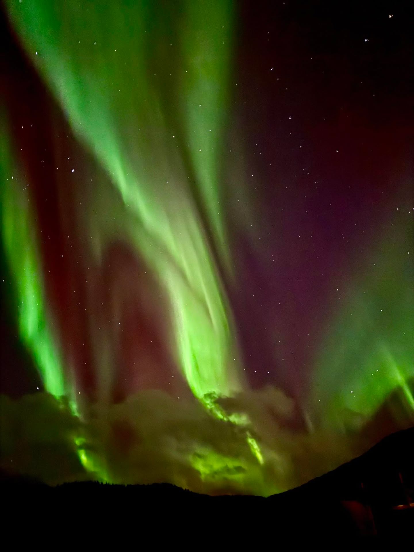 📷 Zsaklin Srammer @zsaklinstrammer