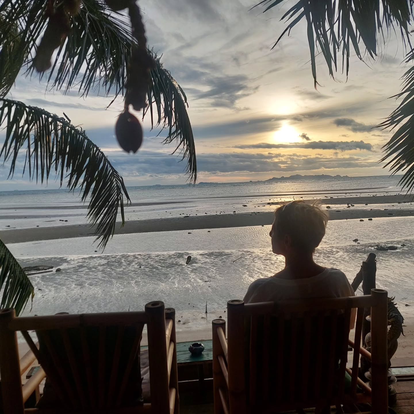 Wir durften 12 Tage Ko Samui genießen. Dabei haben wir auch der @dog_and_cat_rescue_samui einen Besuch abgestattet, die von meinem alten Schulfreund Marcus geführt wird. Er vermittelt Katzen und Hunde u.a. nach Europa, seit kurzem gibt es auch ein schönes Katzencafe, in dem man die Katzen streicheln kann.
Bei unserer Tempeltour haben wir auch den mumifizierten, meditierenden Mönch besucht.