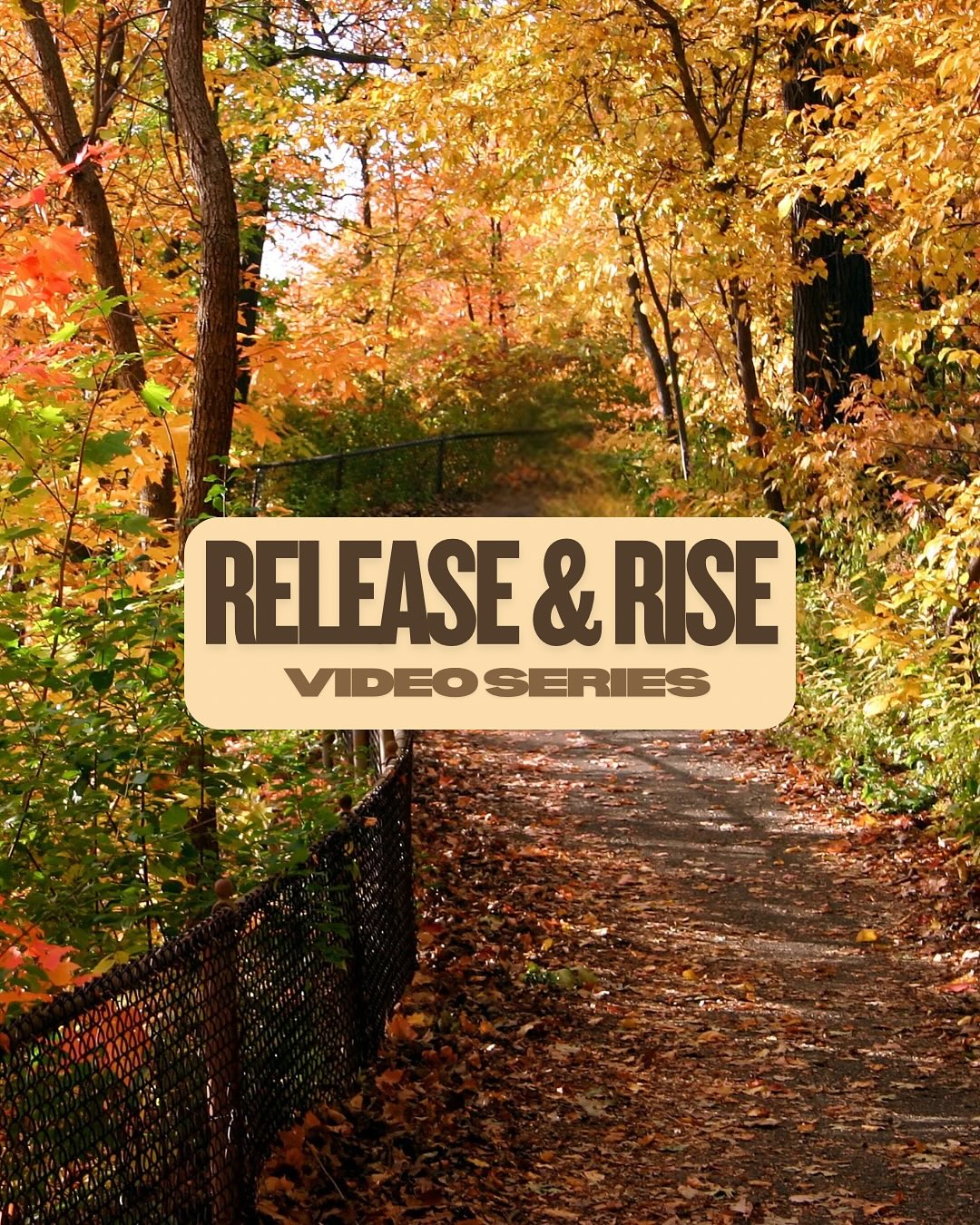 Let’s further explore the journey the series will take us on!
Imagine this! 💭
Going on a beautiful fall walk.
Seeing all the leaves changing colours and the wind picking up and they fall to the ground. 🍂
Seeing a fork in the road and knowing which path to take without hesitation.
Having all you need in your backpack without it weighing you down along the way.
And easefully making your way to the destination you intended to. Taking in the view and feeling so much gratitude and accomplishment for getting there despite all the change navigating around you.
May this be a metaphor for what it is like to walk your path of entrepreneurship for the rest of 2025.
Navigating the changing world of life and business around us while enjoying your journey of business along the way.
Feeling so clear about what steps you are taking to not only achieve your goals for this year but also set you up for 2026.
And not letting the weight of the past upsets hold you back. No more self-doubt, procrastination, and stuckness getting in the way of moving forward towards you living your potential.
This is the journey we will be embarking on together in our new video series Release and Rise. ⬆️
It’s been curated to help you release what’s holding you back so you can rise into your true potential.
The videos will be live at 8pm EST on Wednesdays in the Impactful Female Entrepreneur Facebook community!
Come join us on the journey by clicking the link in my bio to join the group if you aren’t a member already. We start tomorrow see you then 😊