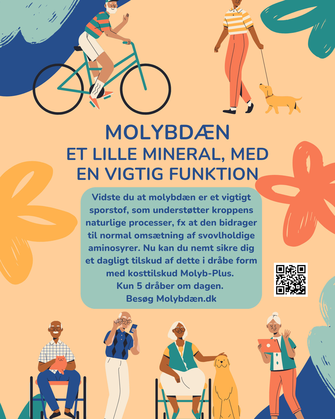 Molybdæn – et overset mineral, der har stor betydning for din krop. Læse mere om dette på blog på boernebiopaten.dk