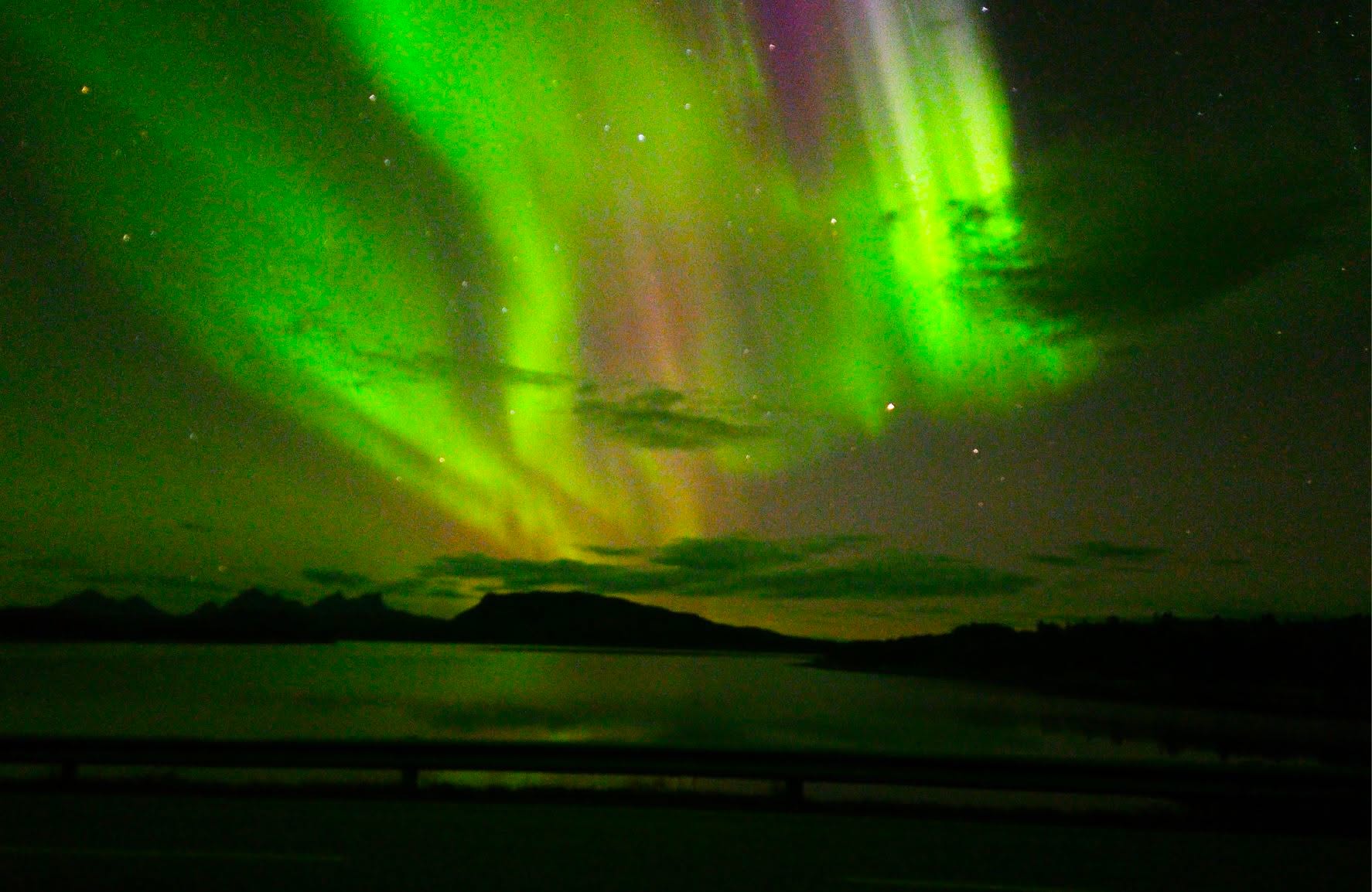 📷 Csilla Bányai @ungarsk_kvinne_i_norge