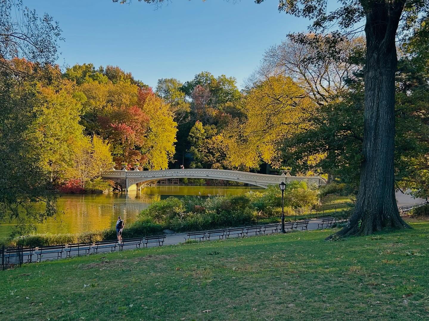 There’s just no better way to start the day than 50 minutes of Contrology with these views 🍁🧘♂️
#pilates #pilatesinthepark #centralparkpilates #thingstodonyc #secretnyc
