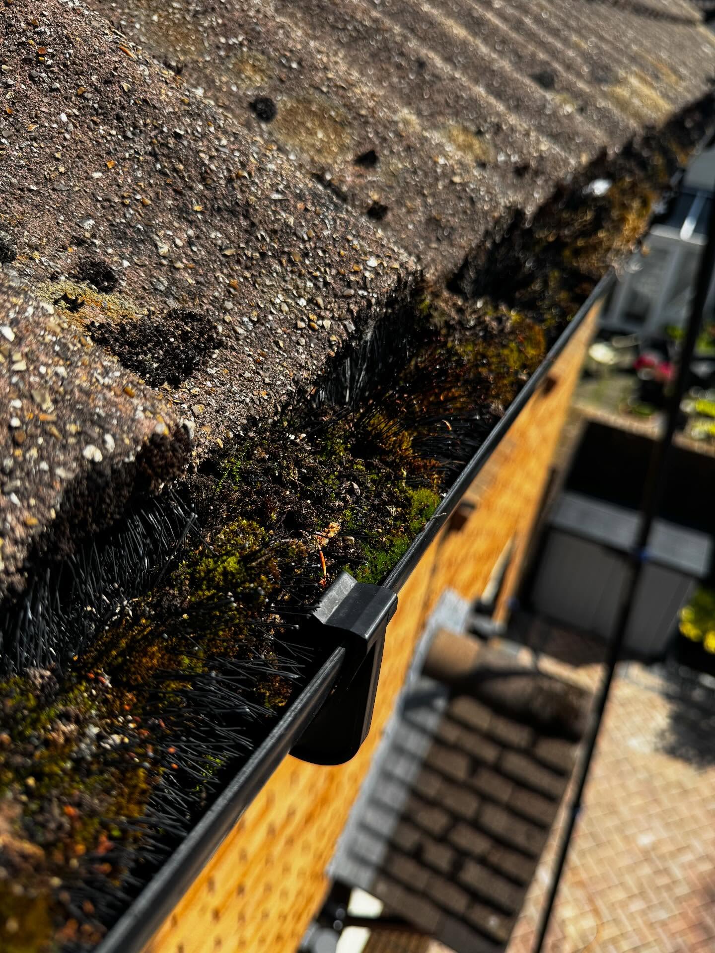 Healthy gutters = a healthy home. When was the last time yours had a check‑up?