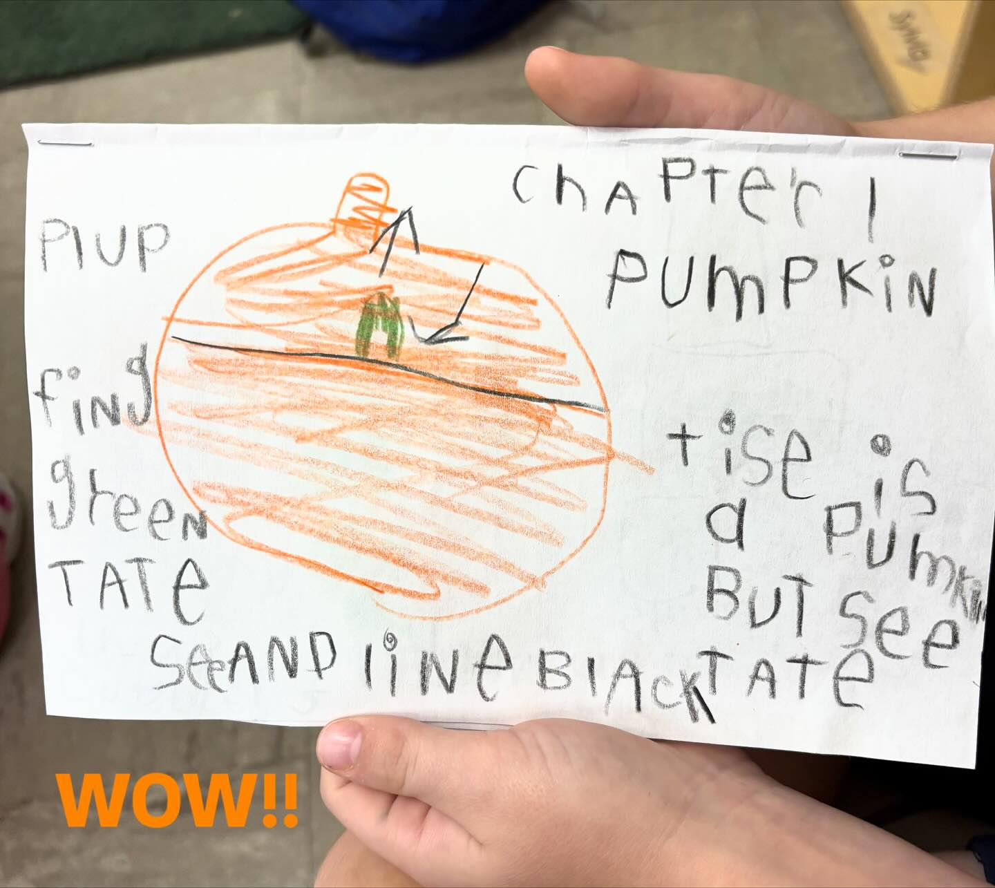 Can you read this 4 chapter book by a 5 year old? Children are amazing and I had the privilege of sitting with him while he read it to me ❤️❤️