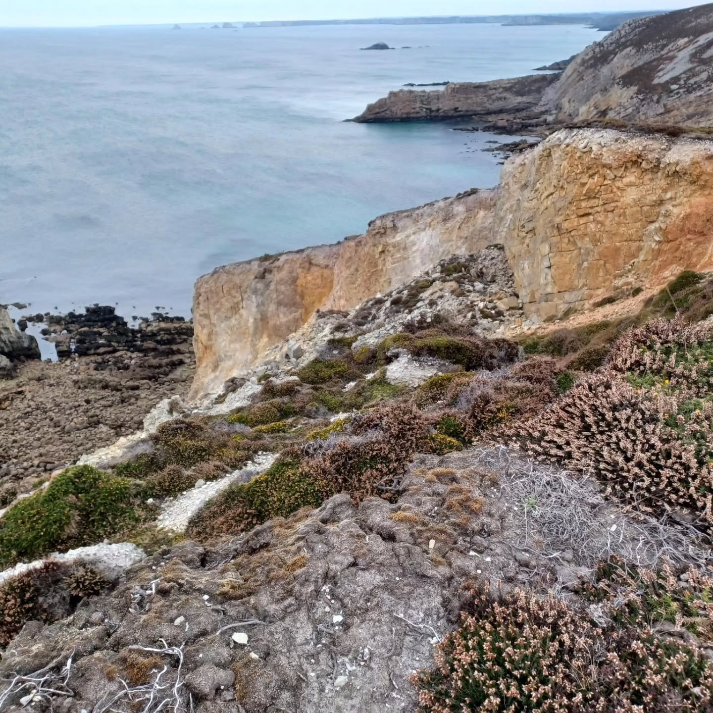 Rando océanique sur le GR34 dans la presqu'île de Crozon, Gwenodenn-aod pour les bretonisants.
Paysages découpés dans des grès armoricains qui ont valu la reconnaissance du site et son classement en géoparc... 🤗
#tourenfinistère #geopark #gr34 #randonono #geoparc
#guidenaturerandonnee #pnr
#cestbolafrance