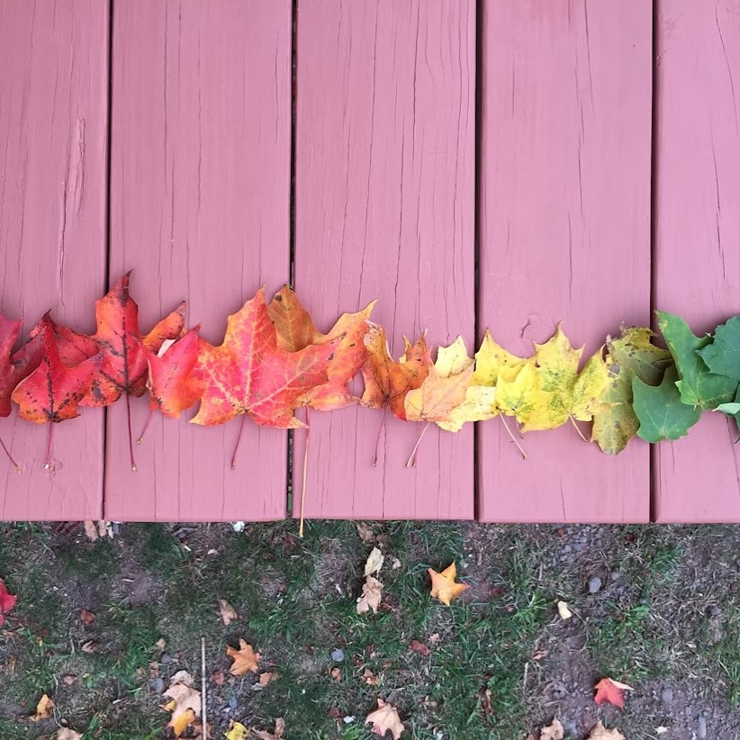 hey queers, morn isch wieder Otherside-Treff!
Abem 19:00 Uhr, La Buena Onda: Lämmlisbrunnenstrasse 51, 9000 St. Gallen. Mir freued üs uf eu🌈❤️
