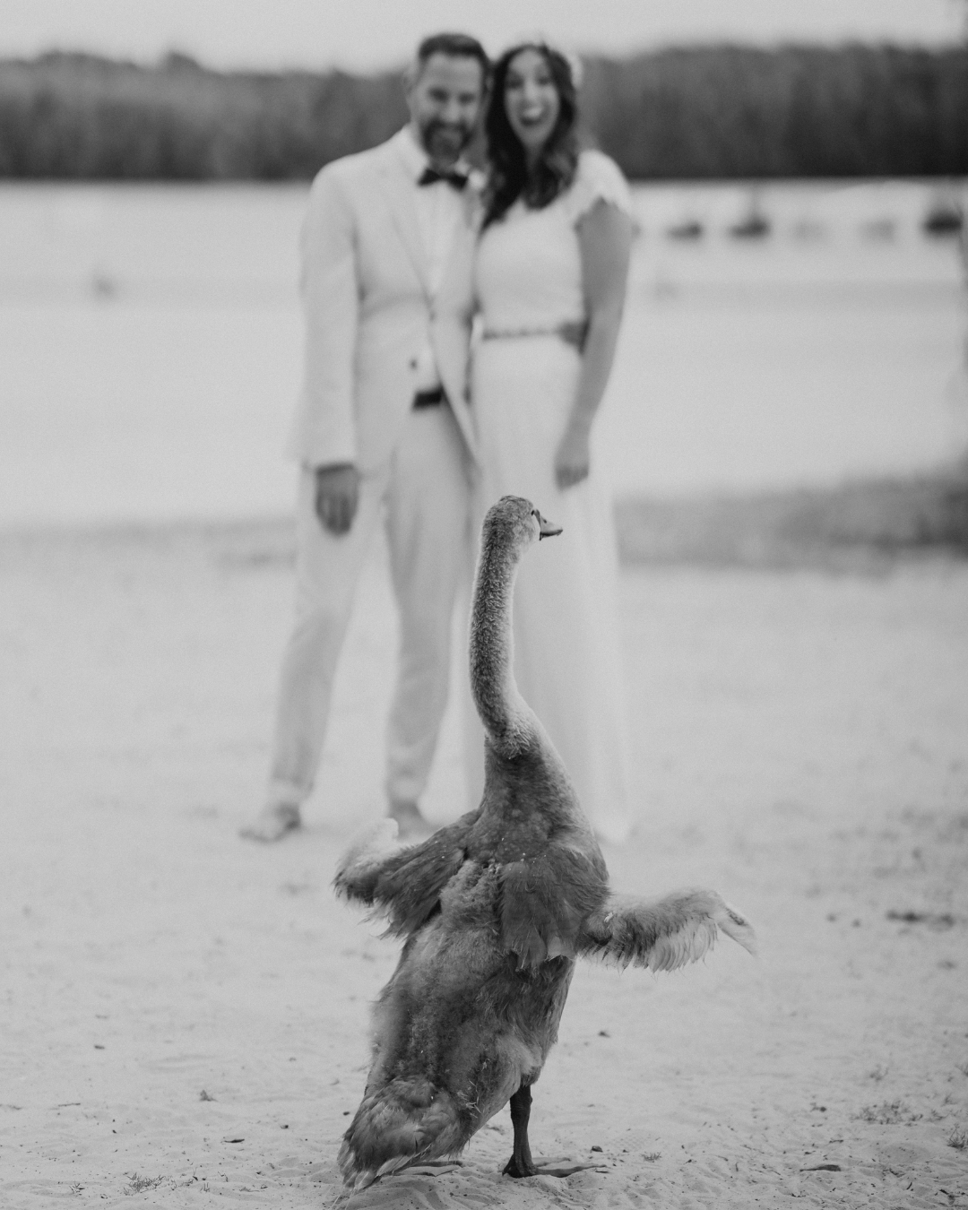 Laura & Christoph haben ihre Hochzeit am Bleibtreusee in Hürth im Sonnendeck gefeiert – und es war genau so, wie man sich eine Sommerhochzeit wünscht, auch wenn die Sonne gefehlt hat, aber dafür hatten wir den Beach für uns allein. Locker, herzlich und voller schöner Momente. Zwischen Spielen im Sand, viel Lachen und kein festes Programm, fühlte sich alles ganz leicht an.
Sogar ein paar Schwäne schienen neugierig mitzufeiern. Eine entspannte Feier mit wunderbaren Menschen und einer Atmosphäre, die einfach glücklich gemacht hat.
Vielen Dank für den wundervollen Tag.
#beachwedding #tierebeiderhochzeit