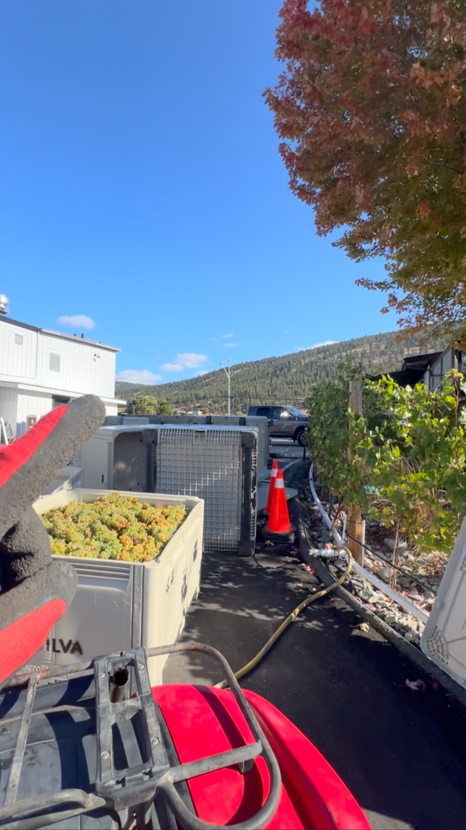 We are just about wrapping up Irrigation blowouts. We had the pleasure of working at Dasilva winery while they were crushing their 2025 harvest #.tapcontracting #okanagan #dasilvawinery #penticton