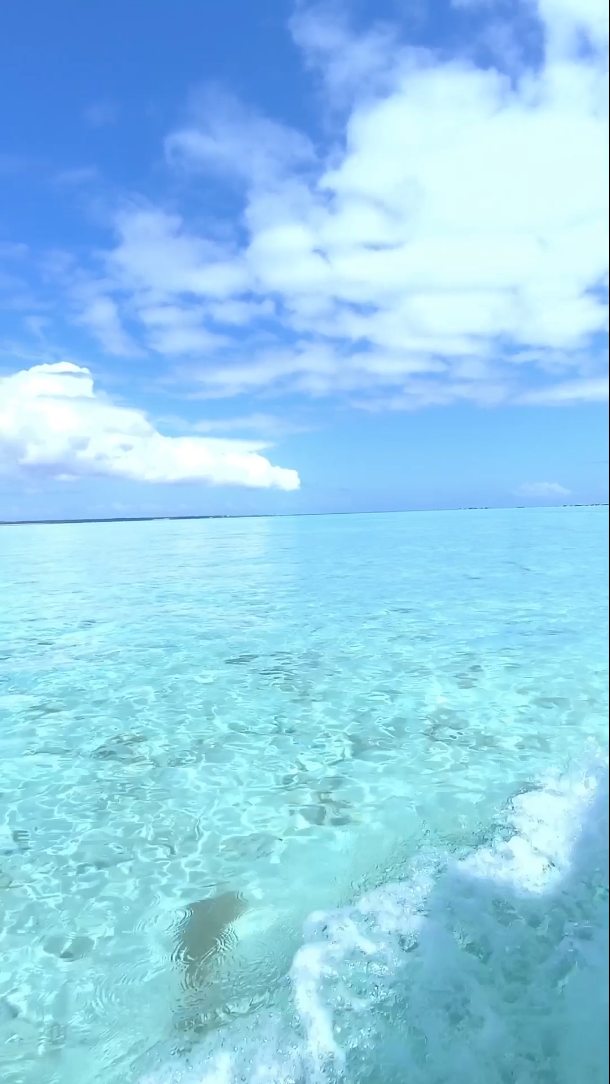Turquoise waters, colorful fish, a dreamlike sandbank and paradise all around....
Experience the Mnemba Magic with Cheichei Zanzibar Tours and Safari.
Contact
WhatsApp +255777814472
Email
info@cheicheizanzibartour.com
Please visit our website
www.cheicheizanzibartour.com
🦒
🐘
🤿
Ñ🐬
#explorezanzibar #mnembaisland #zanzibar🇹🇿 #tanzania #traveldestination #cheicheizanzibartour #nungwi #kendwabeach #matemwebeach #paje #jambiani