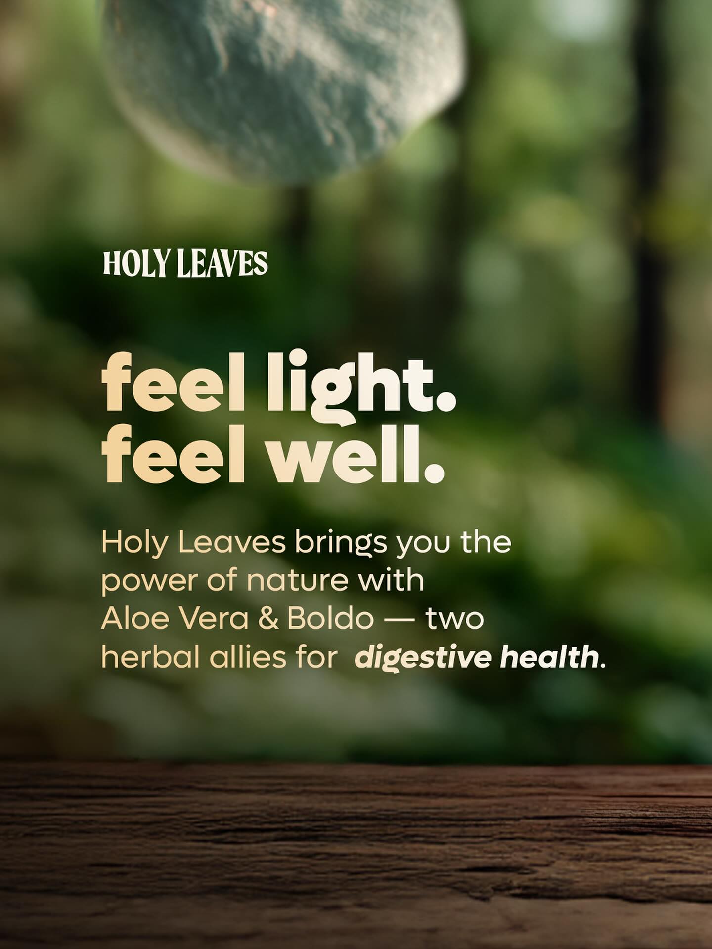 Struggling with stomach discomfort or heavy digestion?
Holy Leaves offers two natural solutions:
🌿 Boldo – supports digestion & balance
🍃 Aloe Vera – soothes & protects
👉 Try the herbal way to wellness.
Benefits
Boldo is used as a digestive aid, antioxidant, hepatoprotective, and anti-inflammatory.
Eucalyptus globulus Leaf has cineole as its main component, which possesses antispasmodic, secretagogue, antimicrobial, and antifungal properties. It is mainly used to treat infections of the upper respiratory tract.
Aroeira/Holly Leaf is reported to be astringent, antibacterial, diuretic, digestive stimulant, tonic, antiviral, and wound healing.
Mexican Mint Leaf has antimicrobial and carminative characteristics. Through its carminative action, it facilitates the release of gas from the stomach and intestines, improving digestion and intestinal colic.
Aloe Vera is known for its soothing and protective properties. It helps calm the stomach lining, supports healthy digestion, and acts as a natural antioxidant. Additionally, it promotes hydration, contributes to overall gastrointestinal balance, and supports the body’s natural defense system.
#DigestiveHealth #HolyLeaves
