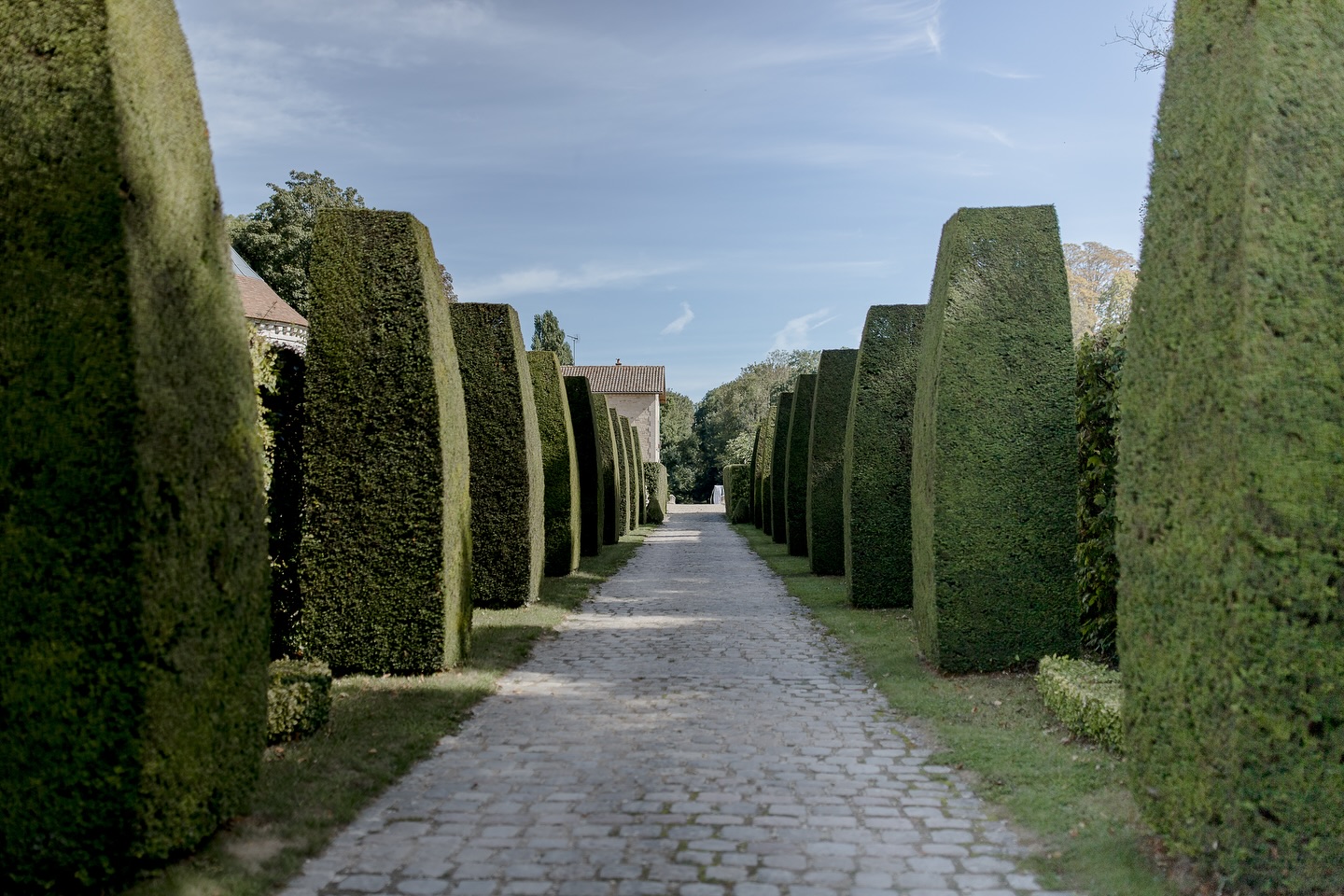 Je me souviens encore de ma première fois ici.
Le portail s’est ouvert, et cette allée m’a coupé le souffle.
Imposante, majestueuse, presque intimidante.
Aujourd’hui, je la traverse tous les jours,
et pourtant, elle me fait toujours le même effet.
Parce qu’ici, tout commence par un silence.
Un instant suspendu, juste avant que la magie opère.
Bienvenue à Vaugency.
📸 @clairelucetphotographie
.
.
.
.
.
#domainedevaugency #slowwedding #mariagechampagne #mariageauthentique #mariageboheme #weddinginfrance #lieudexception #weddingvenuefrance #receptionvenue #weddingday #vaugency #patrimoinevivant #natureetcharmes #charmeàlafrançaise #instawedding #frenchweddingvenue #mariageenfrance #destinationweddingfrance #momentssuspendus