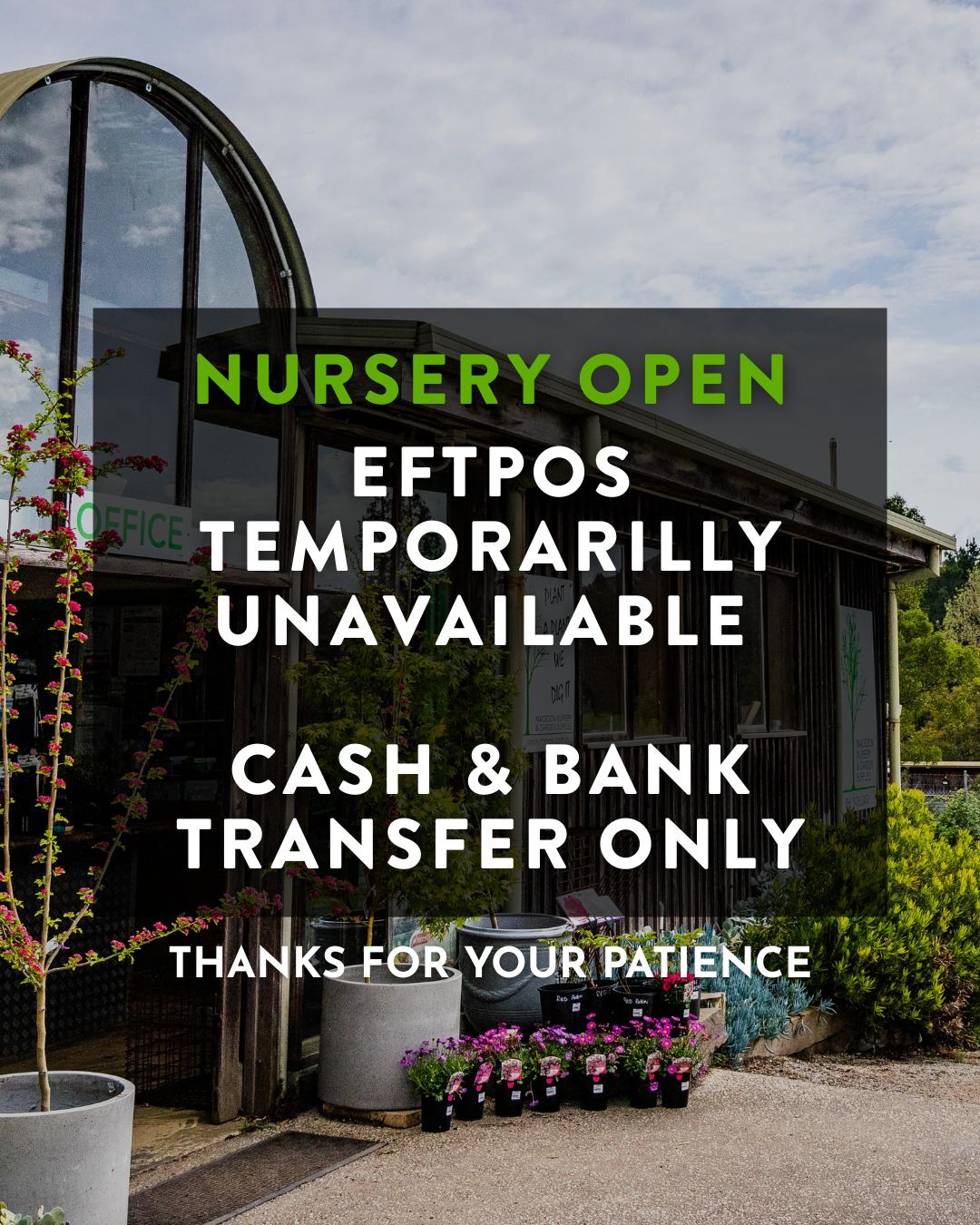 Our doors are open as normal from today.
Unfortunately, the nursery was broken into on Sunday night. Among the stolen items were our EFTPOS machines, which we expect to have replaced later this week.
In the meantime, we can still process cash payments and are happy to accept bank transfers.
Our order books were also taken, meaning we’ve lost record of existing orders. If you or someone you know had an order in progress, please contact us to confirm your details so we can make sure everything is back on track.
Thank you for your understanding and support.
Phone: (03) 5426 2400
Email: info@mngs.com.au