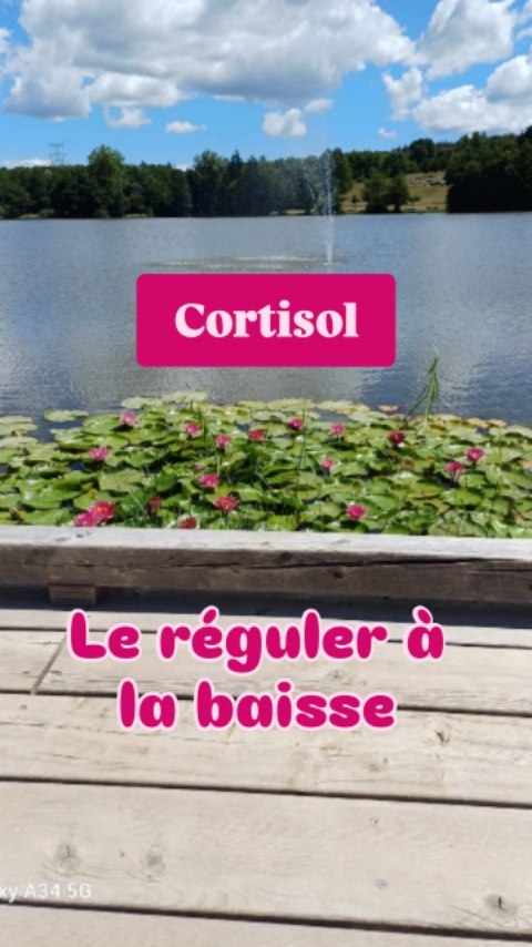 Le cortisol est une hormone indispensable au bon fonctionnement de notre organisme. Sécrété par les glandes surrénales, il suit un rythme circadien. Lorsque que l'organisme est soumis à un stress aigu, le cortisol, sécrété en grande quantité, est un allié à court terme. Il permet:
~ D'augmenter la vigilance
~ De mobiliser l'énergie (augmentation de la glycémie)
~ De réduire l'inflammation
~ De maintenir la tension artérielle
C'est une réponse normale et protectrice face à un stress ponctuel et immédiat, un effort ou une infection.
Mais lorsque le stress devient chronique pour l'organisme, le cortisol continue d'être sécrété en quantité, et l'organisme finit par devenir résistant au cortisol (il devient comme sourd à l'effet que le cortisol est censé produire). On peut alors se sentir fatigué, épuisé, nerveusement instable (soit sur le qui-vive soit à plat), comme si l'ont manquait cortisol alors qu'en réalité notre taux de cortisol est trop haut 😳
Avec au rdv: troubles du sommeil, faim et satiété dérégulées, prise de poids et parfois rétention d'eau, fringales sucrées, hyperactivité mentale et physique entrés autres symptômes 😮💨 A la longue, un risque accru d'hypertension et d'épuisement surrénalien.
Pas de panique, des solution existent pour retrouver un taux physiologique 🙌
~ Adopter une alimentation riche en vitamines B, en zinc et en acides aminés, manger à sa faim, et éviter les fluctuations glycémiques trop importantes.
~ Revoir certaines habitudes comportementales et émotionnelles acquises au fil de la vie
~ Se supplémenter de manière adaptée et personnalisée, avec l'aide d'un professionnel en micronutrition
Si tu as besoin d'être accompagnée, tu peux prendre rdv avec moi 😉 Liens vers la réservation et vers mon site en bio ⬆️
#cortisol #hormones #santenaturelle #santéhormonale #naturopathie #micronutrition #stressrelief #stress #fatigue #santefeminine #hormonalhealth #hormonalbalance