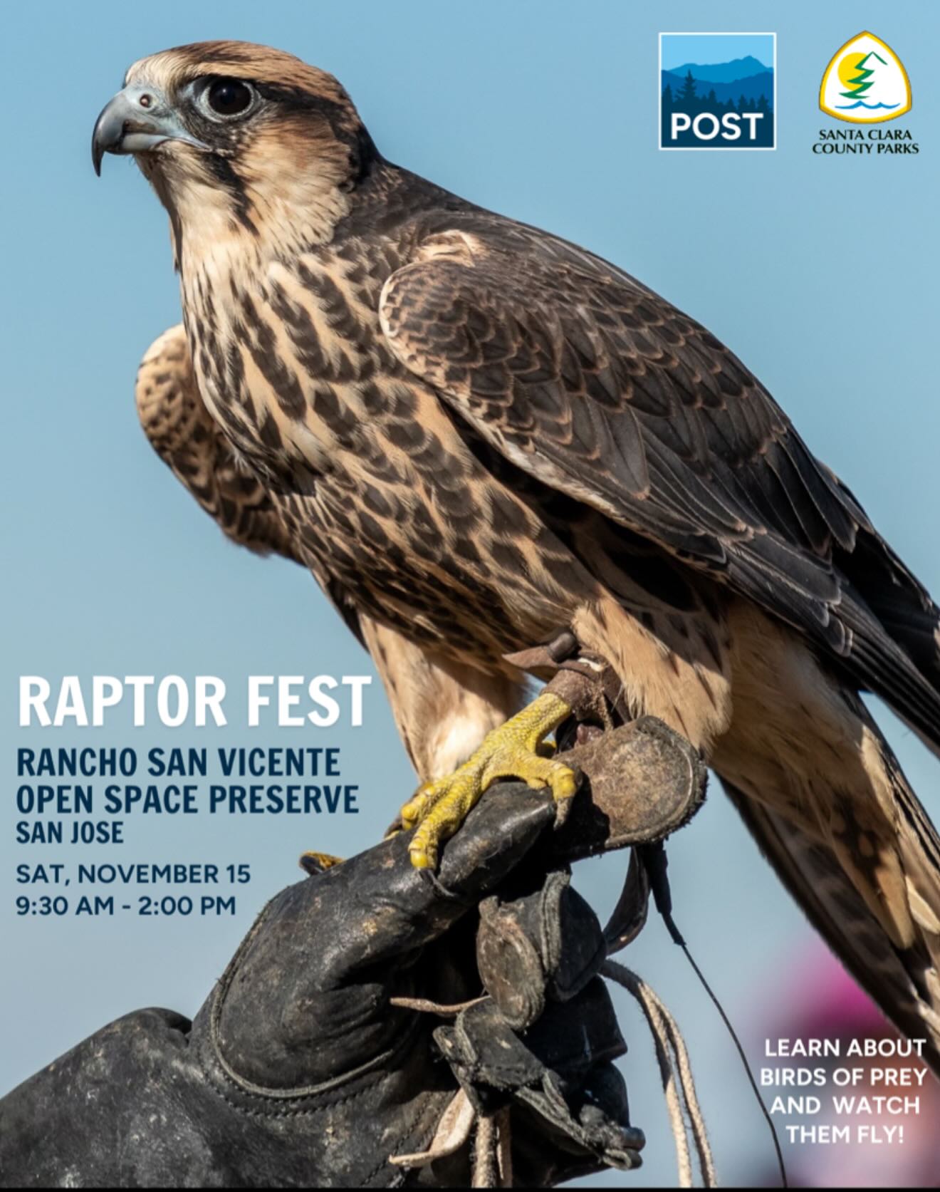 Ready to learn how raptors help keep our ecosystems thriving? POST and Santa Clara County Parks has invited WERC and you to Raptor Fest on Nov. 15 at Rancho San Vicente! 🌿This free event features live falconry demos, educational presentations, and wildlife nonprofits dedicated to protecting the Bay Area’s vital species. 🌟Bring a picnic blanket, sun protection, and plenty of water for this free, outdoor event! 🎟 RSVP via the Link in Bio @santaclaracountyparks
Our volunteers and animal ambassadors hope to see you there! 🦉
Partner booths include: @postlandtrust @santaclaracountyparks @open_space_authority @scvbirdalliance @peninsulahumanesociety @sfbbo and #wercmh