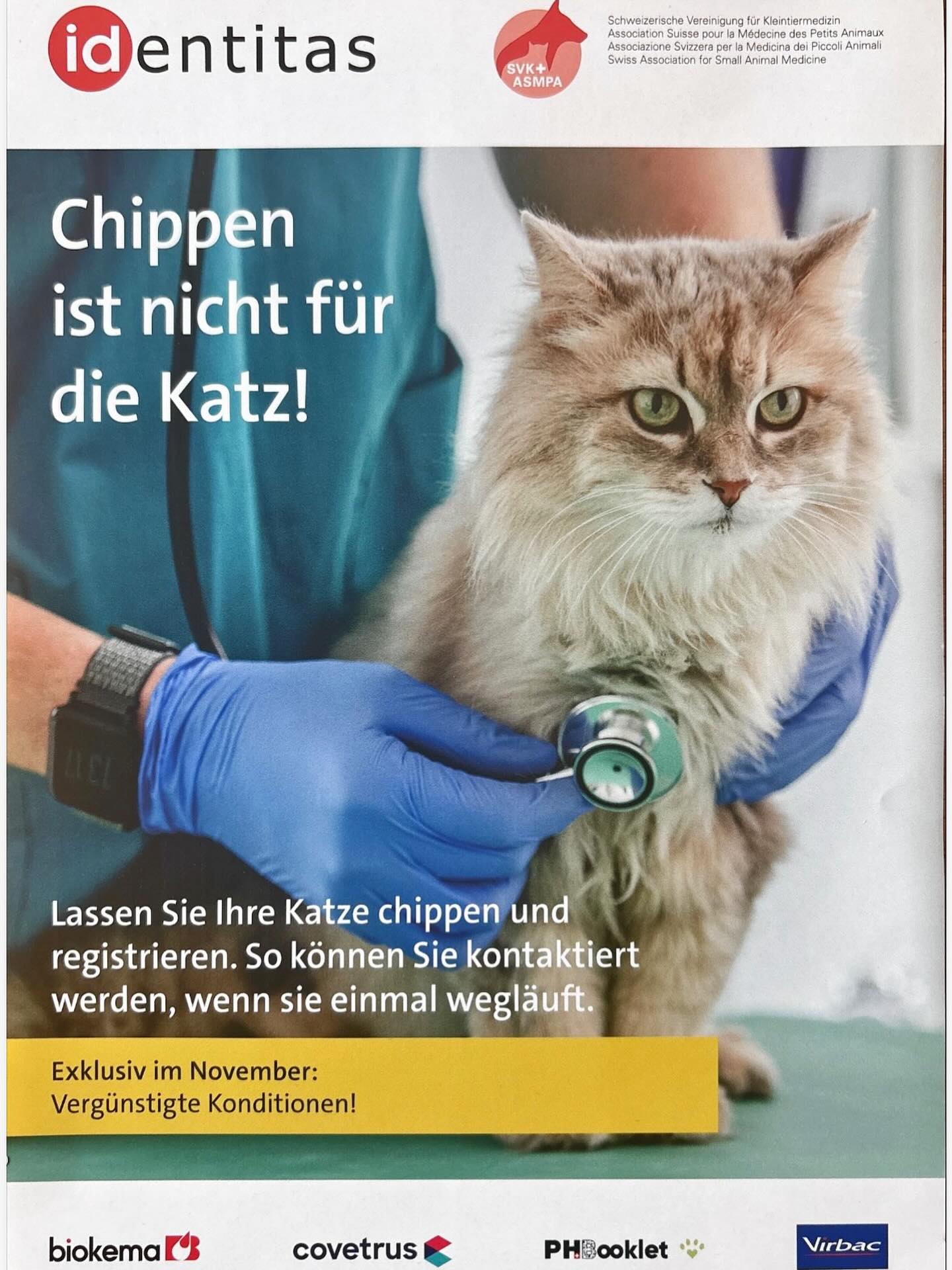 Chippen ist nicht für die Katz!
Lassen Sie Ihre Katze chippen, so können sie kontaktiert werden, wenn ihre 🐈 einmal wegläuft.
Im November zu vergünstigten Konditionen!
@tierarztpraxis_rothenburg
#katzenchippenistnichtfürdiekatz #identitas #katzeentlaufen #katzenchippen #tierärztin #katzenliebe❤️ #wirliebenkatzen #katzenliebhaber #novemberaktion #katzenzuhause #katzenbesitzer #catfriendly