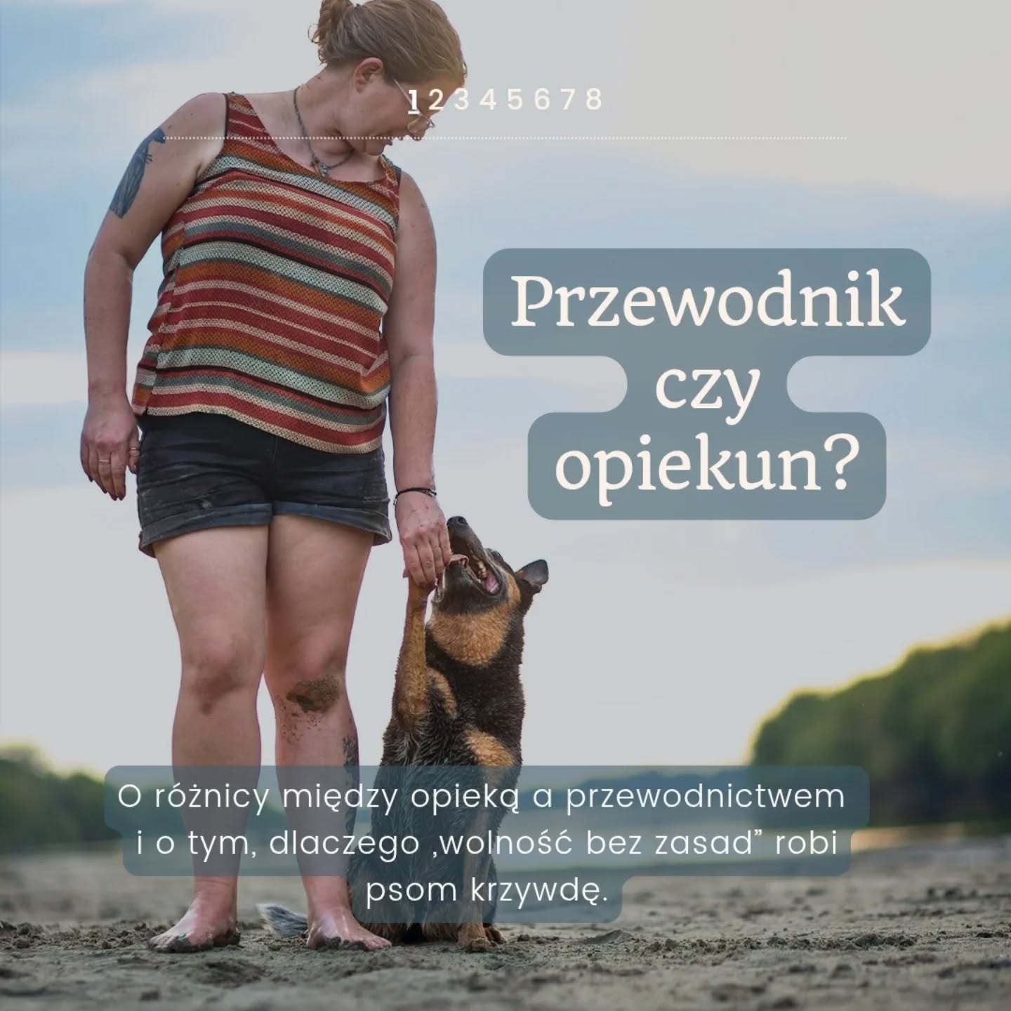 Nie każda dobra opieka to przewodnictwo.
Przewodnictwo zaczyna się tam, gdzie człowiek rozumie, że pies potrzebuje nie tylko troski, ale też jasnych zasad i zadań dopasowanych do tego, kim jest.
Przez wieki psy miały konkretne funkcje – stróżowały, polowały, pasły, tropiły, pomagały człowiekowi. To właśnie te role kształtowały ich temperamenty, motywacje i potrzeby.
Molos nie będzie reagował jak border collie, tak samo jak terier nie zachowa się jak chart. A kundelek ze wsi ma zupełnie inne doświadczenia i inne strategie radzenia sobie niż pies z hodowli sportowej.
Kiedy udajemy, że wszystkie psy są takie same, albo że wystarczy „miłość i wolność”, robimy im krzywdę. Zabieramy im strukturę, zajęcie i możliwość bycia sobą. A potem nazywamy problemem zachowania, które są naturalną reakcją na brak sensu.
Bycie przewodnikiem nie oznacza twardej ręki. Oznacza świadomość tego, z kim mamy do czynienia i co ten konkretny pies naprawdę potrzebuje, żeby czuć się dobrze i bezpiecznie.
I właśnie dlatego w Merdu-Merdu psy mają nie tylko opiekę, ale też prowadzenie – uczciwe, dopasowane i oparte na zrozumieniu, nie na ideologii.
Za piękne zdjęcie z Kotletem dziekuje @trzynascie_zdjec
#merdumerdu #hotelpsow #pieswhotelu #opiekanadpsem #opiekunpsa #przewodnikpsa #psihotel #warszawa #nowydwormazowiecki #psibehawior #bambinizm #psysprtowe #czasnapsa #psiedobrezycie