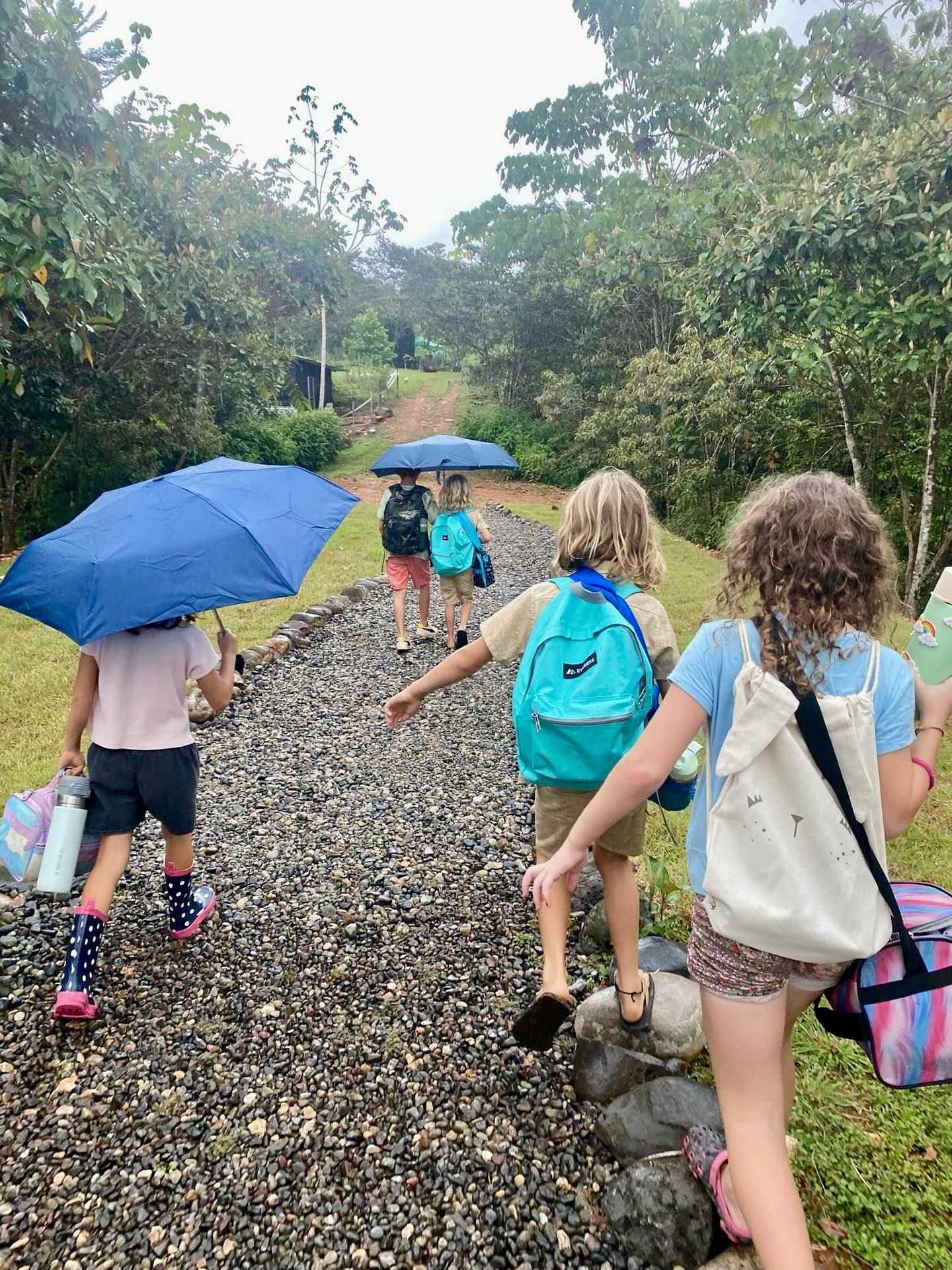 Jungle Academy’s expanding our student population! Our elementary program started last week, and they’re ready to learn and grow!✨
Open to ages 6 to 9!
DM for more information!