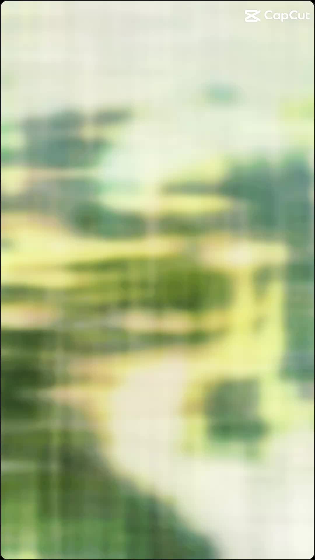 These tiny pollinators working through The Tickled Pickler’s African basil are responsible for one out of every three bites of food we eat. 🍓🥦🍎 Bees are facing unprecedented threats from habitat loss, pesticides, and climate change—and we’re running out of time to help them. ⚠️ Plant native flowers, skip the pesticides, and support local beekeepers—because saving the bees means saving ourselves. 🐝💛🌻
#SaveTheBees #Pollinators #BeeConservation #ProtectTheBees #NativeGardening #BeeFriendly #Beekeeping #UrbanGarden #SustainableLiving #ClimateAction #SaveOurPollinators #BeesOfInstagram #GardenForGood #PlantNative #BeeTheChange #thetickledpickler