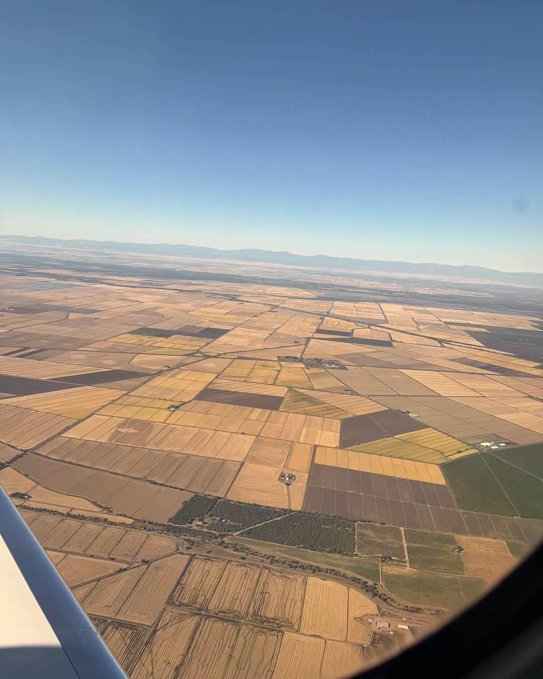 I love the changing of the seasons in my neck of the woods. Farmers will start flooding the rice fields soon. The baby rice growth is my favorite color of green, there is nothing more beautiful 💚 #color #farmland #nature