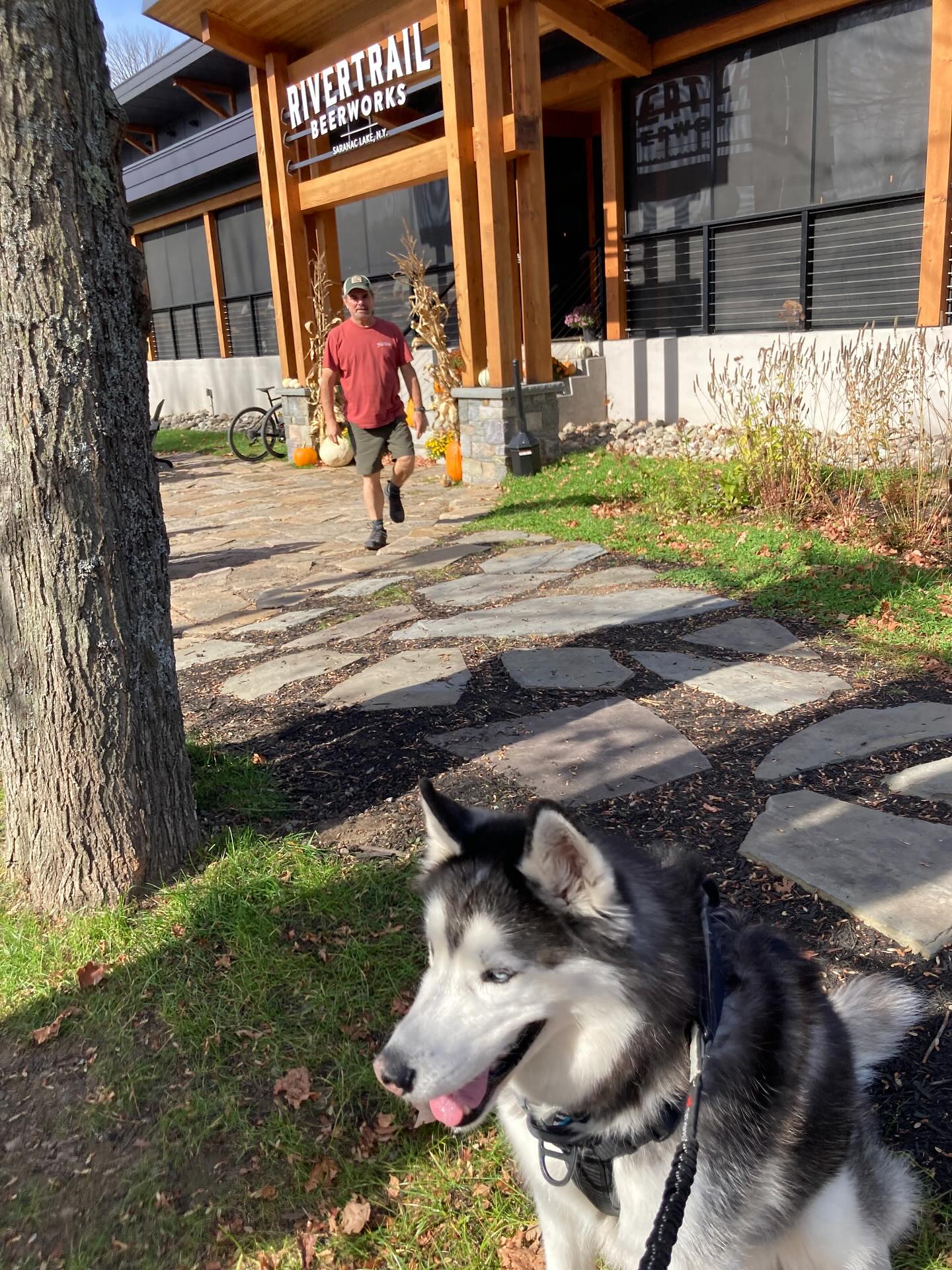🏔️ Recommendation!
Should you find yourself in Saranac Lake, we highly recommend RiverTrail Beerworks for their amazing beverages and incredible food!
The huskies loved hanging out there after their spectacular hike. 🍁
🐾 Dog-friendly
😊 Excellent customer service
🍺 Gorgeous building and area @rivertrailbeerworks #rivertrailbeerworks #saranaclakeny #upstateny