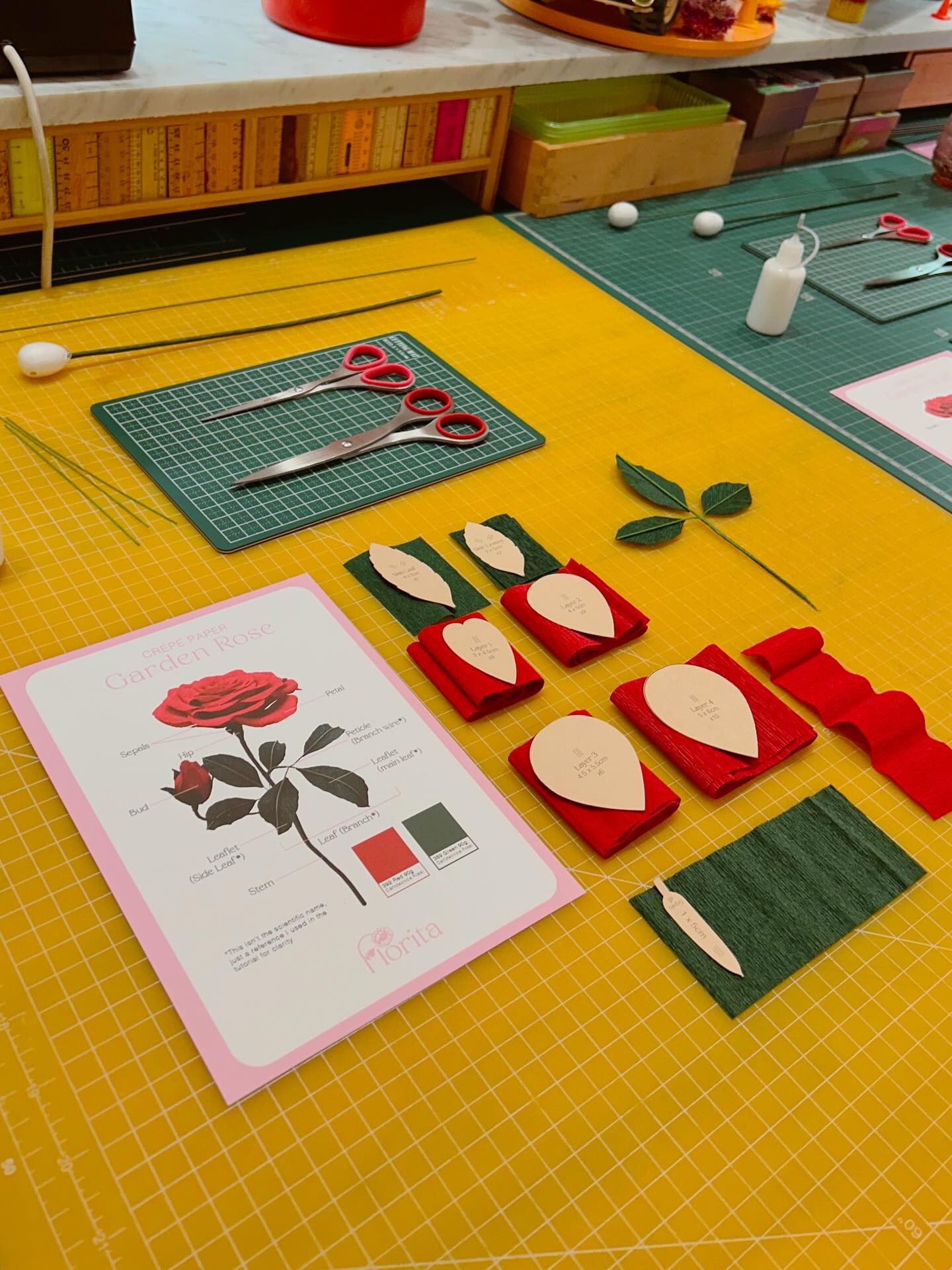 Florita Studio x @latroberegionalgallery 🌹
I’m so excited to be part of the International Rose Garden Festival Morwell with a special in-person workshop!
The gallery has made this event very affordable, making it the perfect chance to come create with me ✨
Hope to see you there!❤️
#crepepaperflowers #paperflowerworkshop #floritastudio