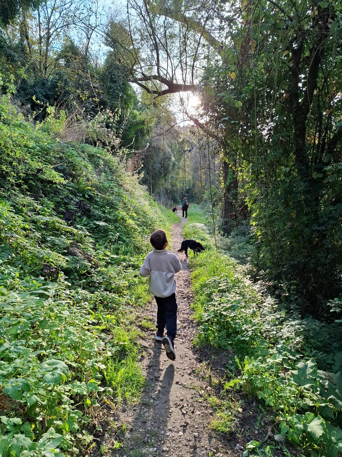 Subiaco - Part 2
Fast forward about four centuries in the story of Subiaco. A young man named Benedict of Nursia arrives, unimpressed by Roman decadence and very much in the mood for some peace and prayer.
Instead of Nero’s parties that used to happen there, he chose a cave above the old lakes—a real fixer-upper with divine light streaming in, according to legend.
Here he lived as a hermit, prayed like a champ, and accidentally became the Father of Western Monasticism.
And because no good saint story is complete without a little drama, miracles followed. When Benedict’s wine was poisoned (hospitality was tricky in those days), the cup shattered like cheap glassware at a student party.
When the monks needed water, Benedict prayed, and—voilà—an eternal spring appeared. Then there’s the famous moment when a young disciple fell into the river and Maurus, obeying Benedict’s call, casually walked on water to save him. No big deal.
Benedict’s sister, Scholastica, wasn’t about to be outdone. When her twin brother tried to leave their yearly visit early, she prayed—and God unleashed a thunderstorm so he had no choice but to stay. The moral? Never underestimate the prayer power of a determined woman.
Soon Subiaco became Europe’s spiritual hotspot. Monks arrived, monasteries bloomed, and the remains of Nero’s villa were repurposed into holy ground. Pagan luxury gave way to prayer, psalms, and monastic wine production (because faith and fermentation go hand in hand).