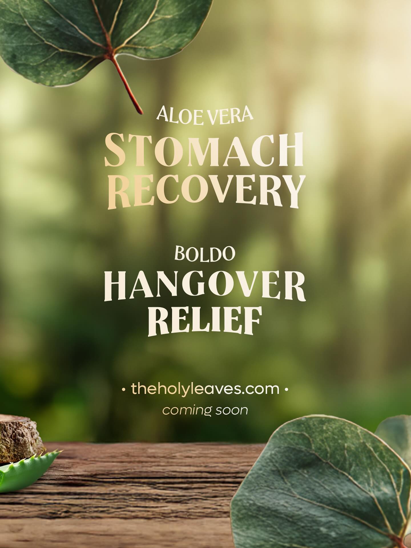 Struggling with stomach discomfort or heavy digestion?
Holy Leaves offers two natural solutions:
🌿 Boldo – supports digestion & balance
🍃 Aloe Vera – soothes & protects
👉 Try the herbal way to wellness.
Benefits
Boldo is used as a digestive aid, antioxidant, hepatoprotective, and anti-inflammatory.
Eucalyptus globulus Leaf has cineole as its main component, which possesses antispasmodic, secretagogue, antimicrobial, and antifungal properties. It is mainly used to treat infections of the upper respiratory tract.
Aroeira/Holly Leaf is reported to be astringent, antibacterial, diuretic, digestive stimulant, tonic, antiviral, and wound healing.
Mexican Mint Leaf has antimicrobial and carminative characteristics. Through its carminative action, it facilitates the release of gas from the stomach and intestines, improving digestion and intestinal colic.
Aloe Vera is known for its soothing and protective properties. It helps calm the stomach lining, supports healthy digestion, and acts as a natural antioxidant. Additionally, it promotes hydration, contributes to overall gastrointestinal balance, and supports the body’s natural defense system.
#DigestiveHealth #HolyLeaves