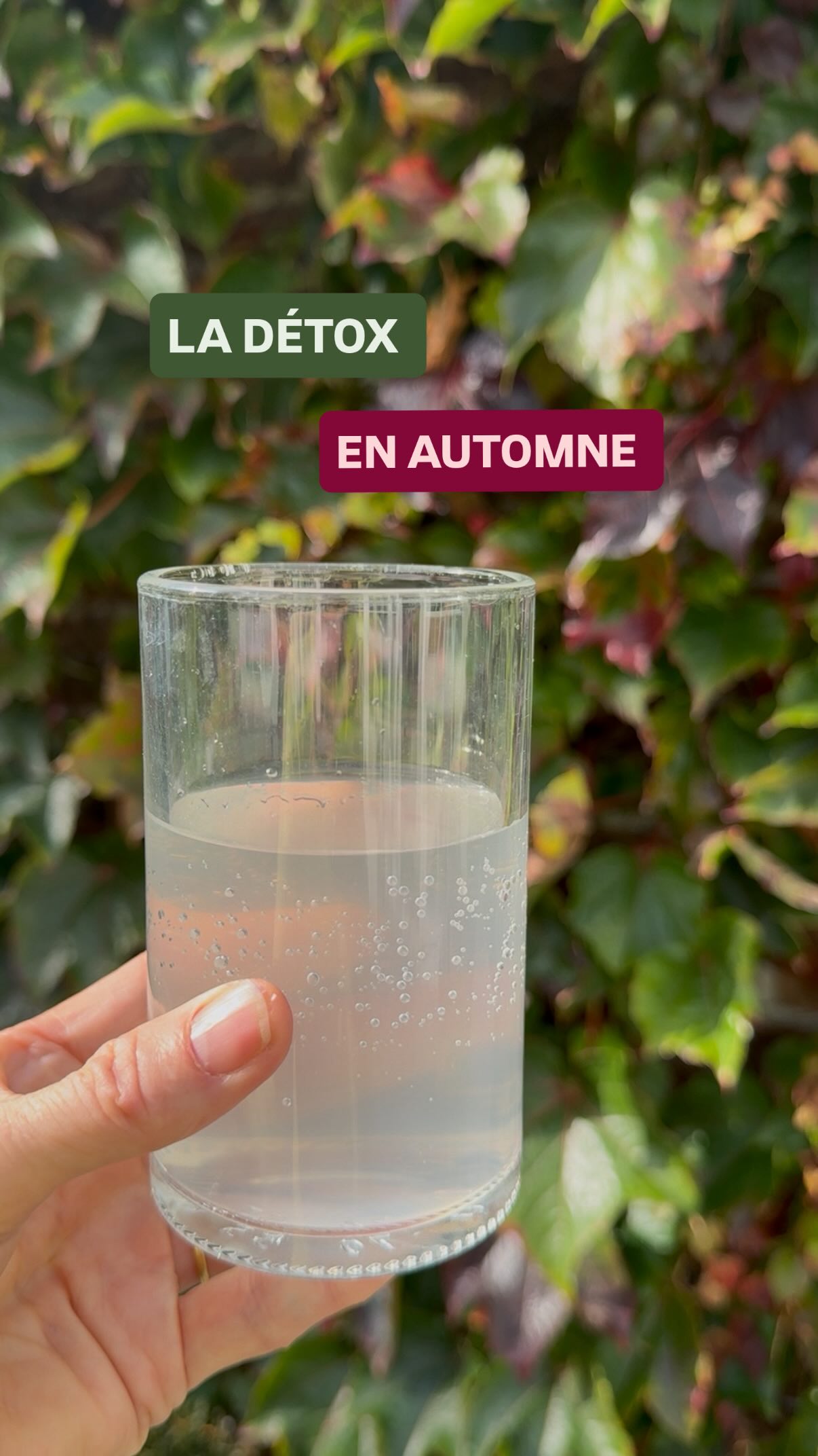 Publicité: collaboration commerciale avec @soseve.be
Une cure particulière à prévoir en automne! 🍂 🍁
❤️Le CODE PROMO Keto vous donne 10% de réduction sur vos achats!
Trop d’alcool, de stress, d’oxalates, de polluants…? Il faut penser à vous re-minéraliser, détoxifier et booster l’immunité avec la cure de sève de bouleau lactofermentée de soseve.
Un verre par jour à prendre le matin à jeûn, le soir au coucher ou entre vos repas.
C’est une cure de 5l, une fois ouverte gardez là au frigo. Il faut bien vous hydrater pour éliminer les toxines et puis surtout réduisez un maximum votre exposition au quotidien!
Évitez le plastique, filtrez l’eau, aérez votre maison, consommez moins d’alcool, de tabac, mangez bio quand c’est possible.
🍄Re-minéraliser:
La sève de bouleau lacto fermentée et enrichie en extraits de bourgeons est riche en minéraux; magnésium, calcium, maganese… de vitamines bio disponibles pour vous reminéraliser.
🍂Booster l’immunité
Les rhumes, bronchites, grippes nous guettent…
La sève booste votre immunité de par ses vitamines et minéraux mais aussi en prenant soin de nos intestins qui jouent un rôle majeur dans l’immunité.
🍁Détoxifier:
Les toxines accumulées, cosmétiques, pesticides, plastiques, alcool, tabac … doivent être éliminées par le foie MAIS aussi les intestins.
La sève lactofermentée vous aide à prendre soin de vos intestins avec les probiotiques et post biotiques.
Pourquoi je choisis la sève de bouleau @soseve.be
🍁bio
🍁production artisanale
🍁respect de l’environnement
🍁contrôle qualité du sol
🍁riche en minéraux et vitamines
🍁non pasteurisée
🍁emballage sans BPA ...
-
#seve #sevedebouleau #oxalates #immunité #detox #détox #drainage #prendresoindesoiaunaturel #foie #lactofermentation #toxines #curedetox #nutriketoclub #intestins