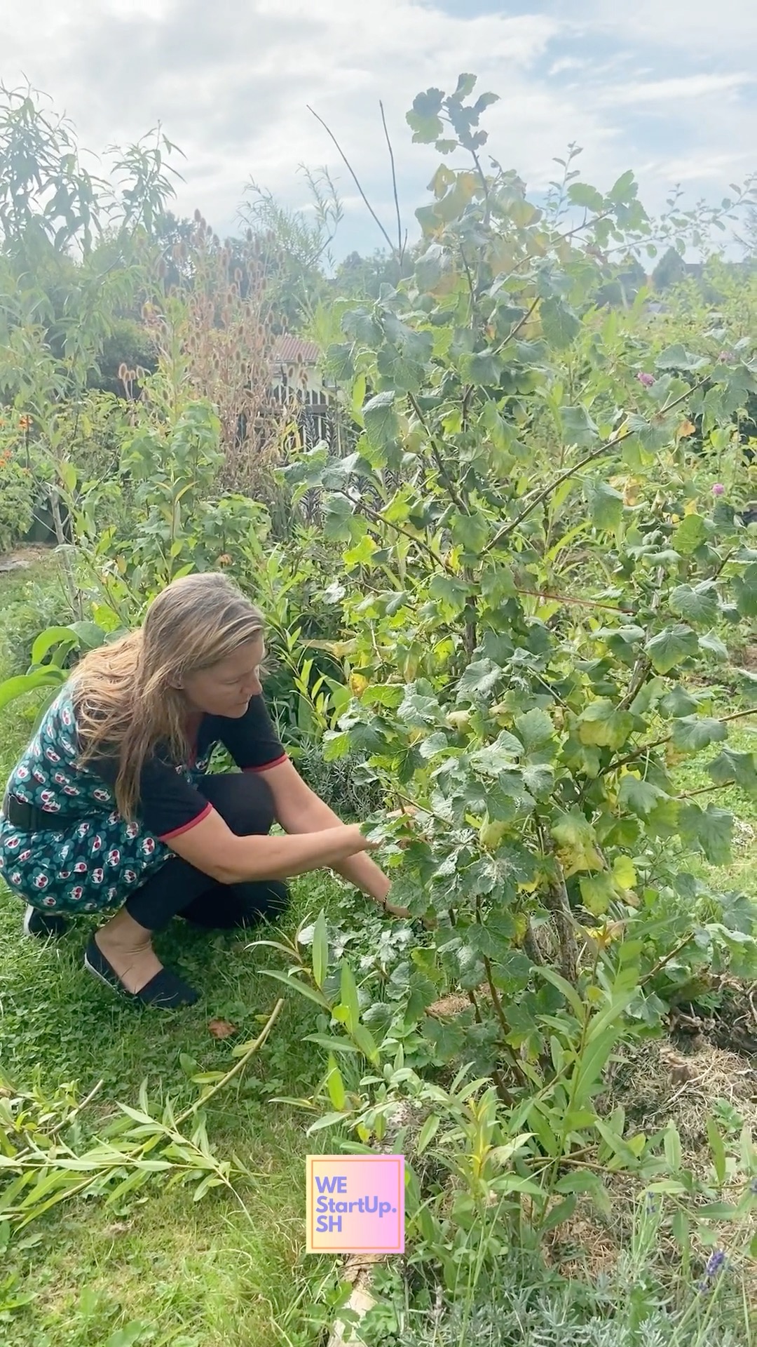 🌿 Heute waren wir bei Astrid in ihrem Waldgarten @astrid_flensburg.
Ihr Grundgedanke: „Lebendige, gesunde und krisenfeste Systeme aufbauen und erhalten.“ 🌱✨
Astrid ist eine studierte Personalexpertin und kennt die Welt mittelständischer Unternehmen mit all ihren Freuden, aber auch Herausforderungen. Aus dieser Erfahrung weiß sie: Erfolg ohne Regeneration funktioniert nicht.
Daraus entstand ihr Leitsatz:
„Lebendige, gesunde und krisenfeste Systeme aufbauen und erhalten.“ 🌱
Was als Hobby begann, hat sich zu einer Berufung entwickelt – und diese fasst Astrid in drei Säulen zusammen:
1️⃣ Die private Ebene – hier erforscht sie selbst neugierig ihren Waldgarten.
2️⃣ Community-basiertes Arbeiten – u. a. mit Projekten wie dem Waldgarten Harrislee oder dem Lehr- und Aktionsnetzwerk „Nachhaltiges Gärtnern“.
3️⃣ Unternehmen & Natur verbinden – dank ihres Studiums möchte sie nachhaltiges Gärtnern auch in die Arbeitswelt bringen und zeigen, wie Natur Räume für Regeneration im Alltag eröffnet. 🌳💼
Ab 2025 startet Astrid mit ersten Workshopreihen:
✨ Cocreating – ein Teaser für Führungskräfte
✨ Entdeckungsreisen über das eigene Firmengelände
Und ab 2026 sind bereits weitere spannende Formate geplant.
Astrids Vision: Natur und Wirtschaft verbinden – für mehr Lebendigkeit, Gesundheit und Resilienz 🌿 (www.natureatwork.space)
#Waldgarten #Nachhaltigkeit #Regeneration #Führungskräfte #Workshop #LebendigeSysteme #Unternehmen