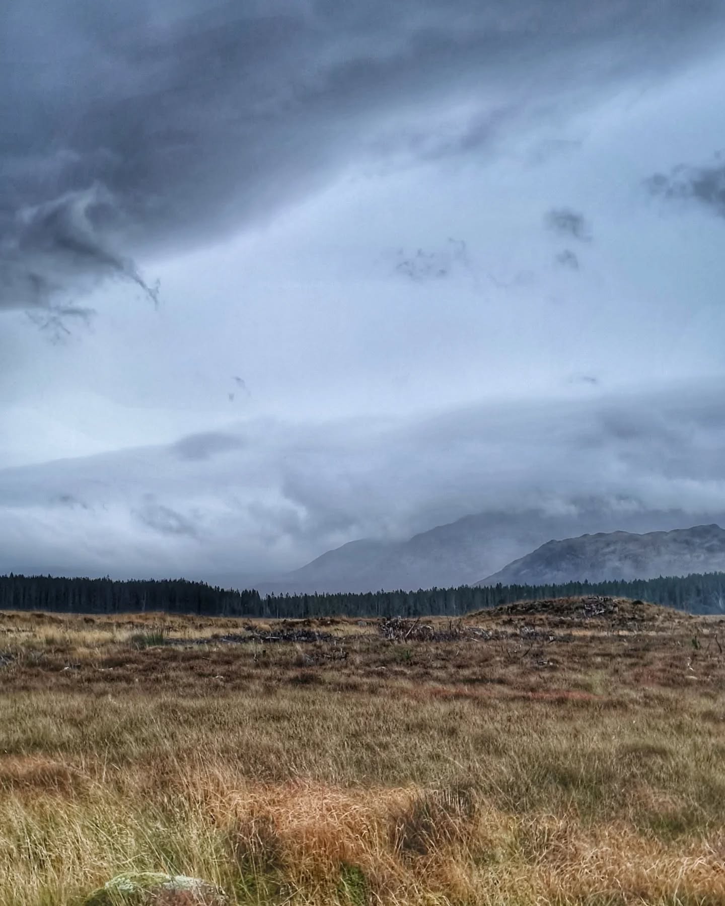 Sunday was all about dark skies, lashing rain and all the shades of grey - until Ardverikie walled garden - a neglected maple collection with beautiful autumn colours. However, I think we were a week too late for the best show.
Hardly any photos as the phone would have died 😂
.
.
#bikepacking #bikepackingscotland #scotland #adventure #guidedtour #bikelife #scotlandexplore