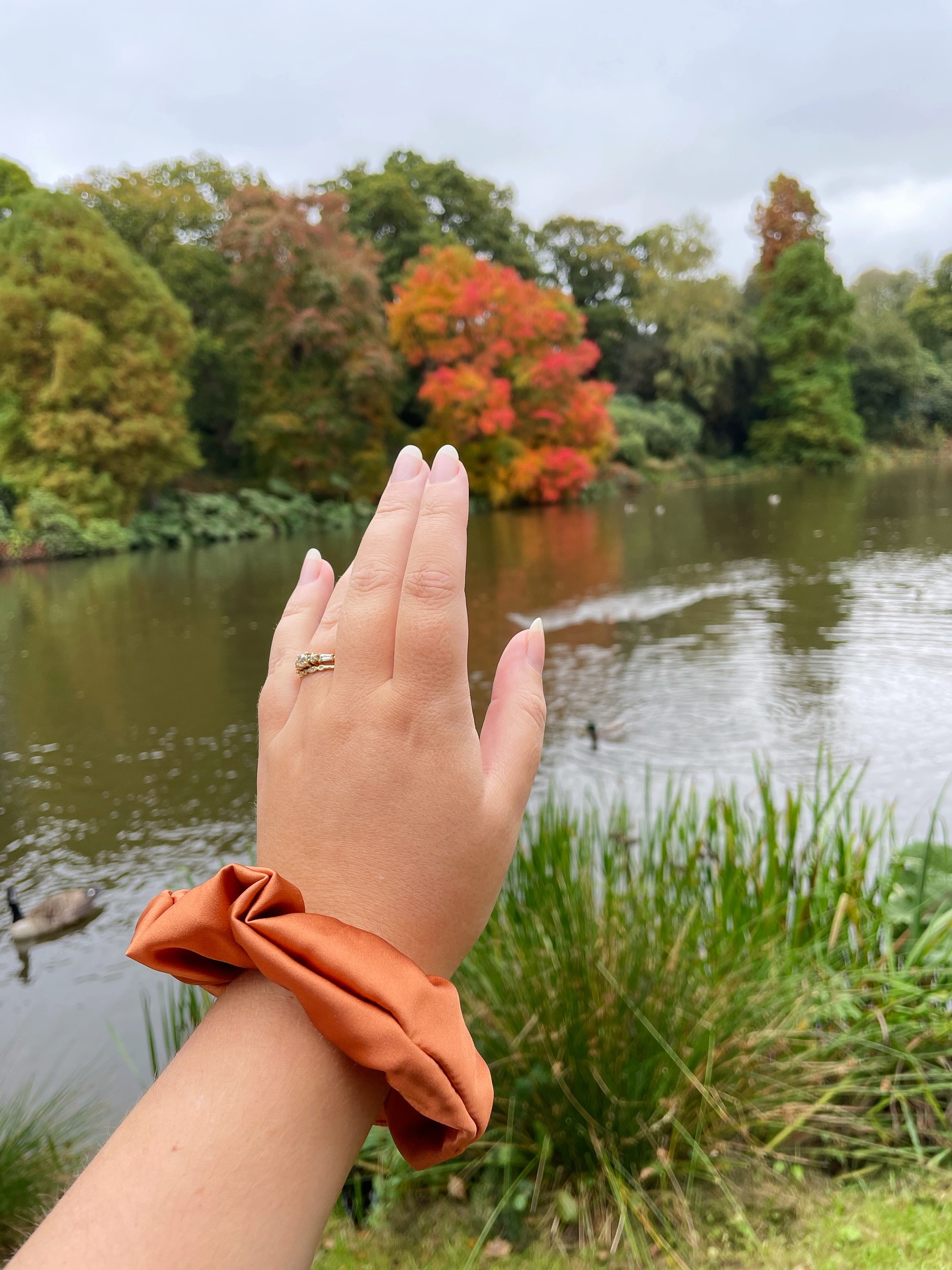 Consider this your sign to visit some amazing autumnal colour 🍂
Sheffield Park is really not far from me now we’ve moved and I’ve not visited during autumn for years (they have amazing water lilies in summer) so I suggested to @abbyillustrates we visited. Abby even brought some of her art materials so I got to have a bit of a play around (If you are looking for beautiful nature prints and cards, Abby has a lovely shop and we have a few of her prints up in the house already)
It was wonderful to just have a good small business chat and to have a little draw. I was worried I’d feel a bit intimidated drawing next to Abby because it is literally her job but instead I just really enjoyed trying some different materials for mark making without overthinking it. We also had quite a few people stop by our bench to say how lovely it was to see us drawing which in itself was also lovely!
As Abby is the creator of the hashtag #ShowYourSketchbook so I decided to include some of my sketchbook. In the morning my college art education kicked back in and I also asked myself “what would Abby do?” and the answer of course was to quickly lay down some watercolour backgrounds. It always makes the page less intimidating to start on so I really need to get back into the habit of this!
I did also have to sneak in a couple of product photos with those trees in the background because they were so beautiful and vibrant. Thank you to Abby for taking a photo of the back of my head because small business friends just get it!
Swipe through to see my sketches and a bonus animal friend!