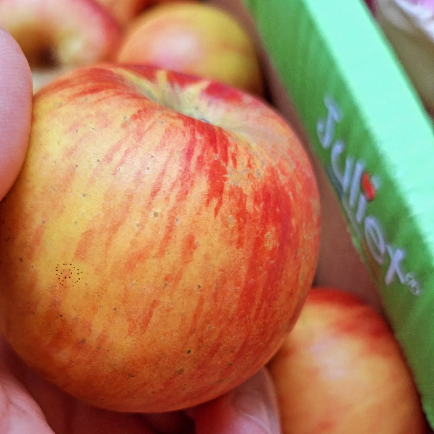 Cœur de Pomme
L'automne s'installe chez Confitures Atypiques
.
.
.
.
.
#benedettoconfituresatypiques #confitures #confituresatypiques #confitureartisanale #jam #jamstore #jaminparis #epiceriefine #food #paris #montmartre #instagood #photoftheday #carusel #nouvellerecette #Pomme #foodblogger #foodlover #foudecuisine #foudepatisserie #grocery #grocerystore