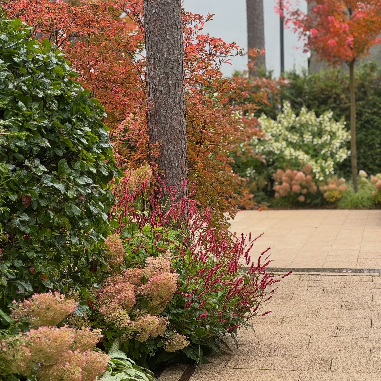 A week ago — the garden wrapped in October rain and colorful autumn glow.