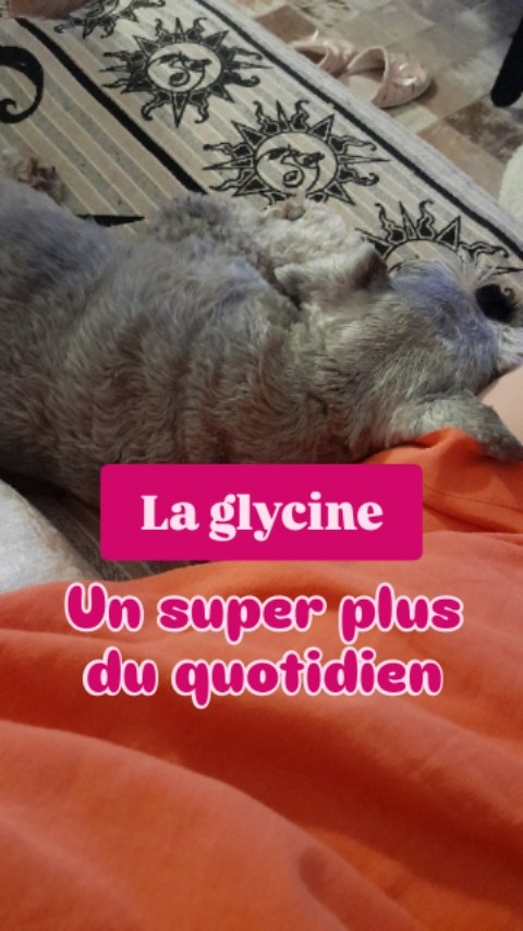 🍖 La glycine est un acide aminé que l'on trouve en quantité dans la viande gélatineuse, la moëlle et les cartilages/os (bouillon d'os par exemple), la peau des poissons... Autant d'aliments que l'on a tendance à peu ou pas consommer.
🦴🦵Précurseur du collagène lorsqu'elle est associée à la vitamine C, l'apport de glycine est top pour les végétariens et végétaliens, qui n'en bénéficient pas du tout via leur alimentation. Pour rappel le collagène est un composé majeur des tissus conjonctifs: os, tendons, cartilages, peau. Il est indispensable pour les préserver et les régénérer
😴 Prise le soir 30 min à 1h avant le coucher, la glycine améliore la qualité du sommeil, facilite la détente et abaisse légèrement la température corporelle, qui favorise l'endormissement.
10g par jour en 1 ou 2 prises - goût naturellement sucré: s'incorpore facilement dans une boisson 🍵
10% de réduction sur le site @nutripurefr avec mon code ✨️ manong10 ✨️
#nutripure #glycine #collagene #insulin #insuline #santenaturelle #micronutrition #naturopathie #sommeil #inflammation