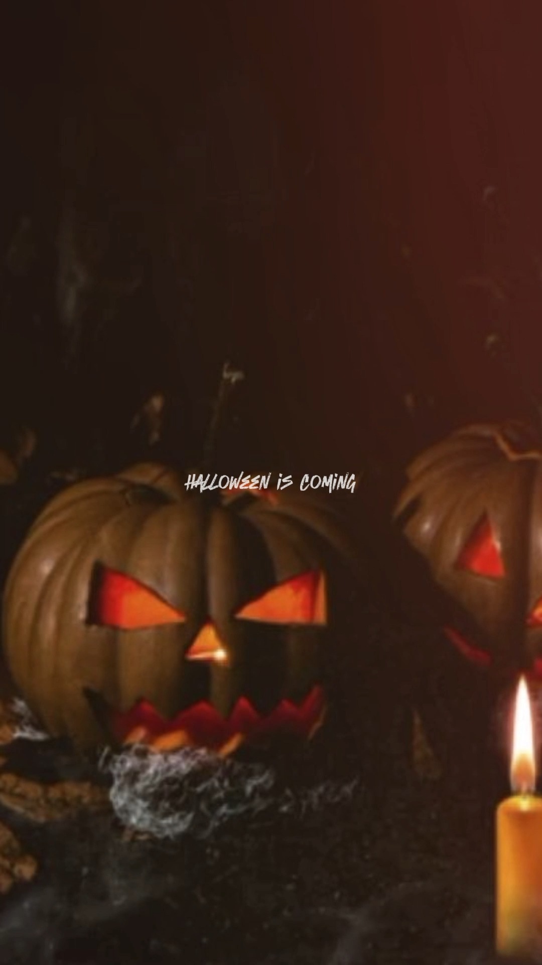 Se escucha un zumbido... 💨
No es el viento, es el rugido de algo que está cobrando vida.
Este Halloween, tus pesadillas corren a 240 FPS.
💀 Despiértalo… solo en Gaming Tools.
#GamingTools #TerrorGamer #HalloweenSetup