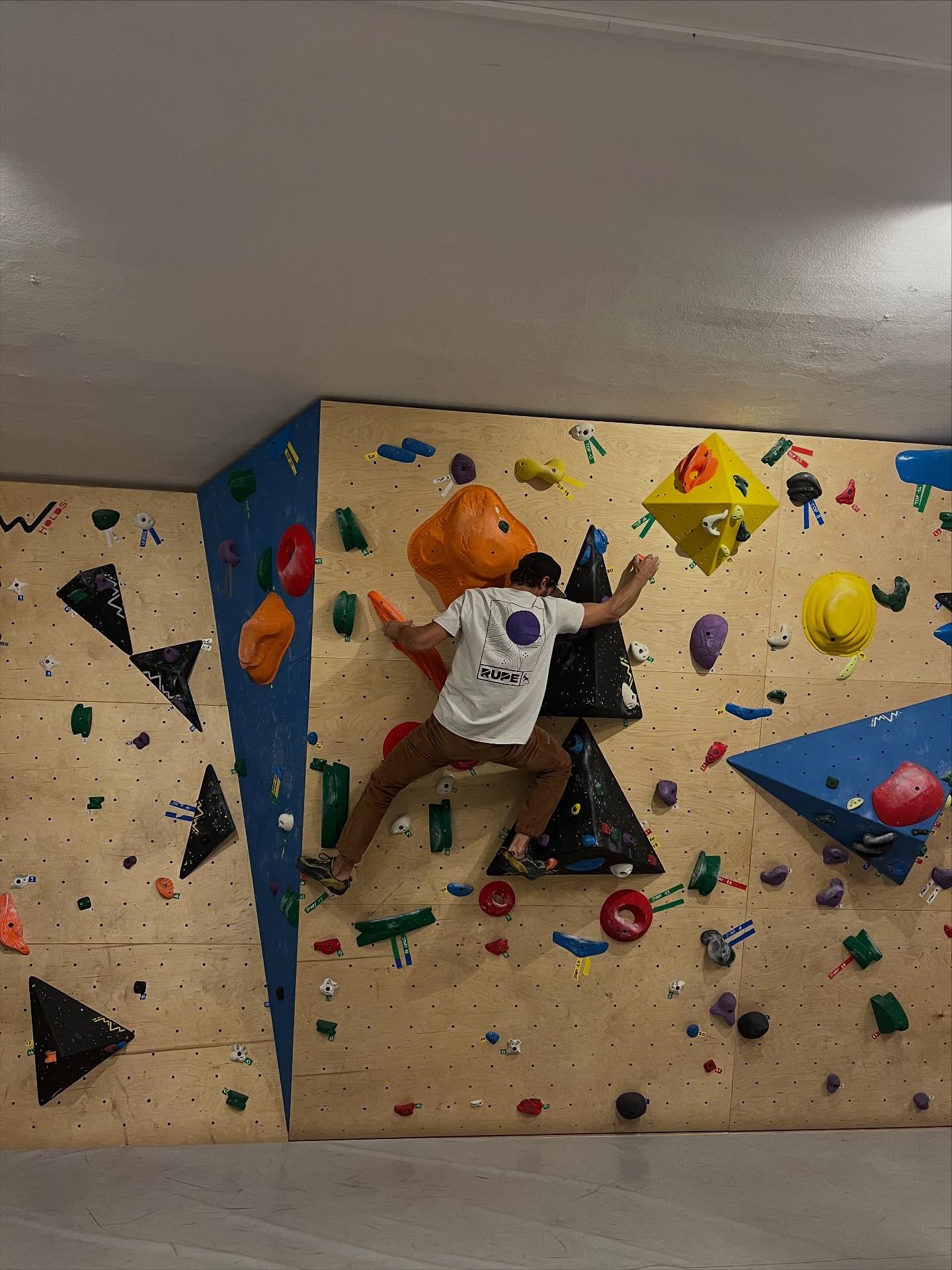 Apertura stagione 2025-2026 💥
📆 Dal martedì al venerdì
⏰ dalle ore 17 alle ore 21.30
vi aspettiamo nella nostra Sala Boulder 🧗🏻♂️🧗🏼♀️
📍presso la sede sociale in Piazza Giovanni Paolo II, 1